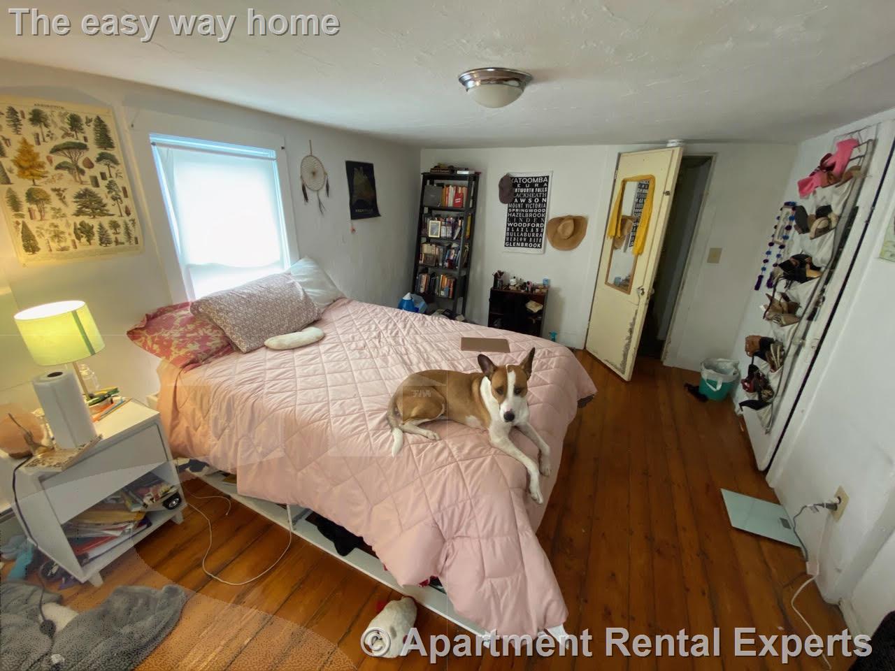 7 Wyatt St, Inman Square