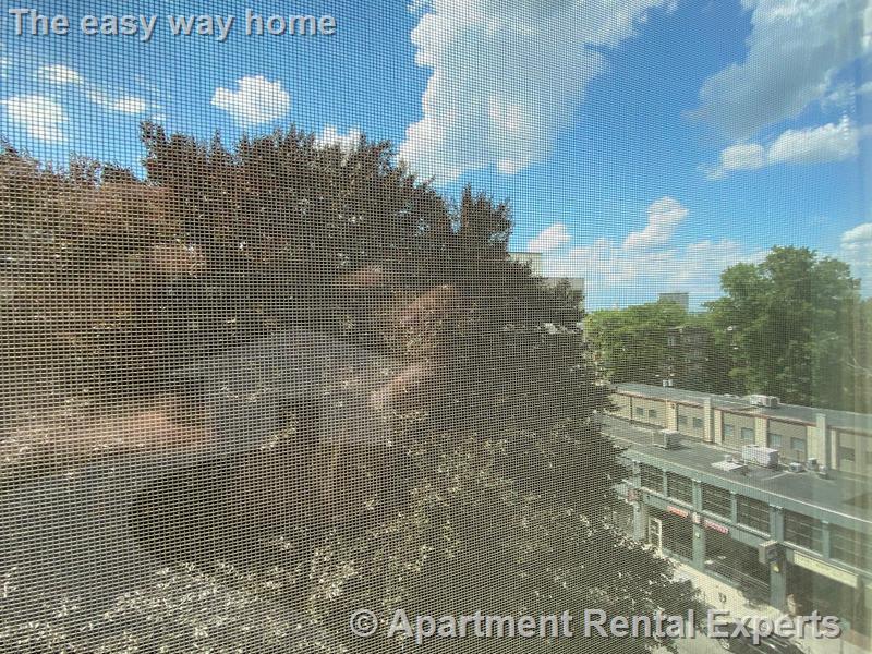 1008 Massachusetts Ave, Harvard Square