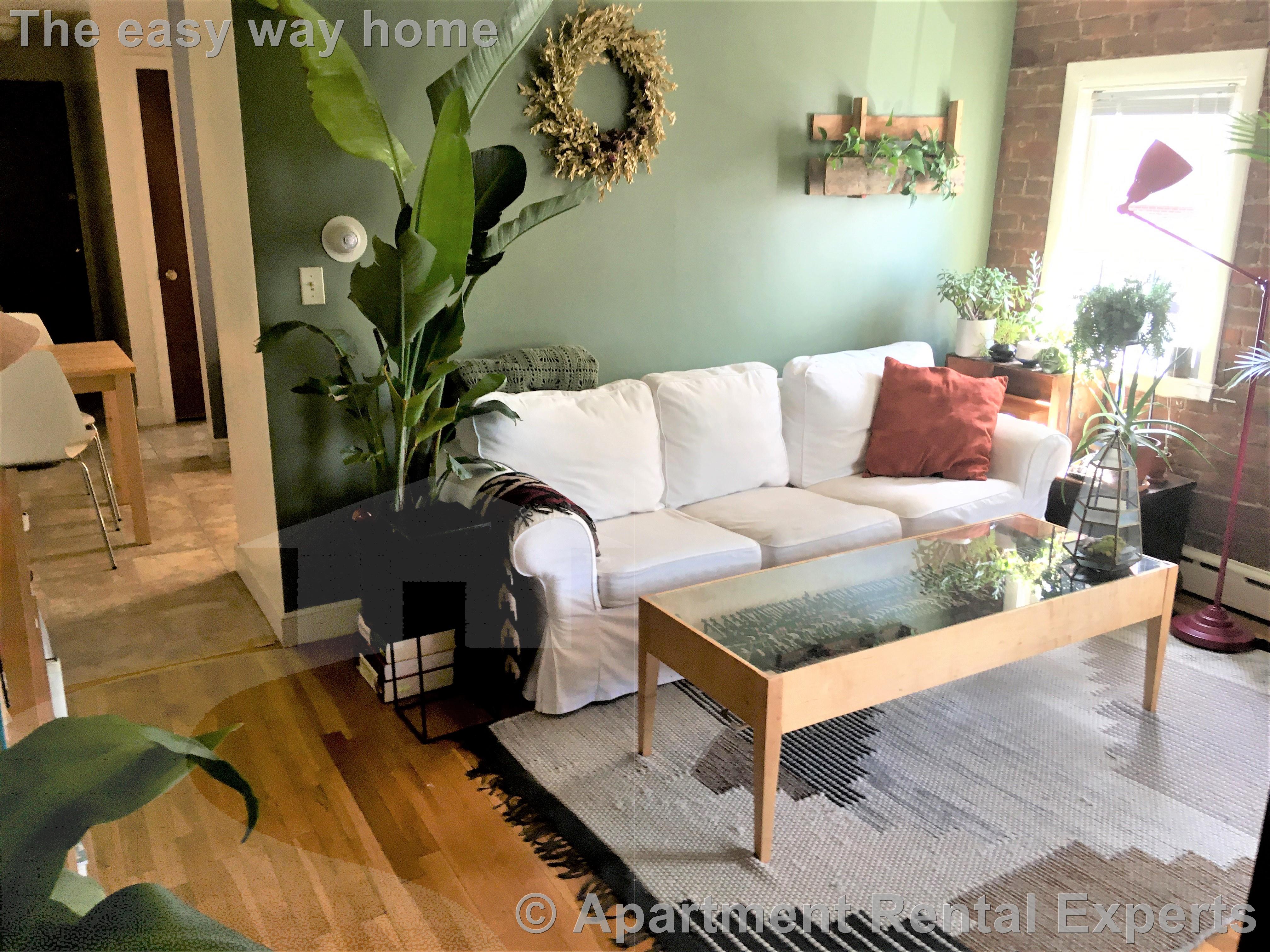 898 Massachusetts Ave, Central Square