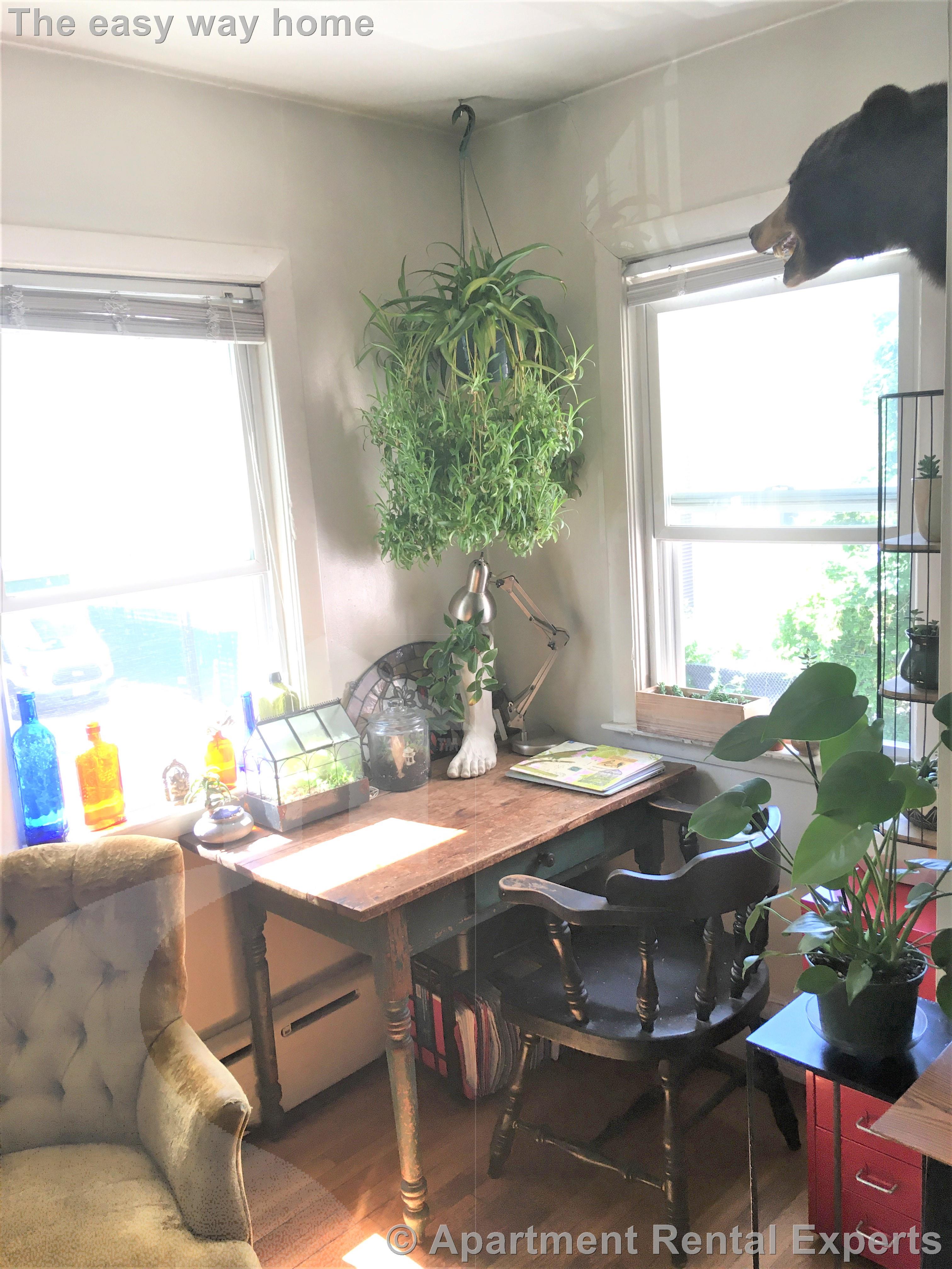 898 Massachusetts Ave, Central Square