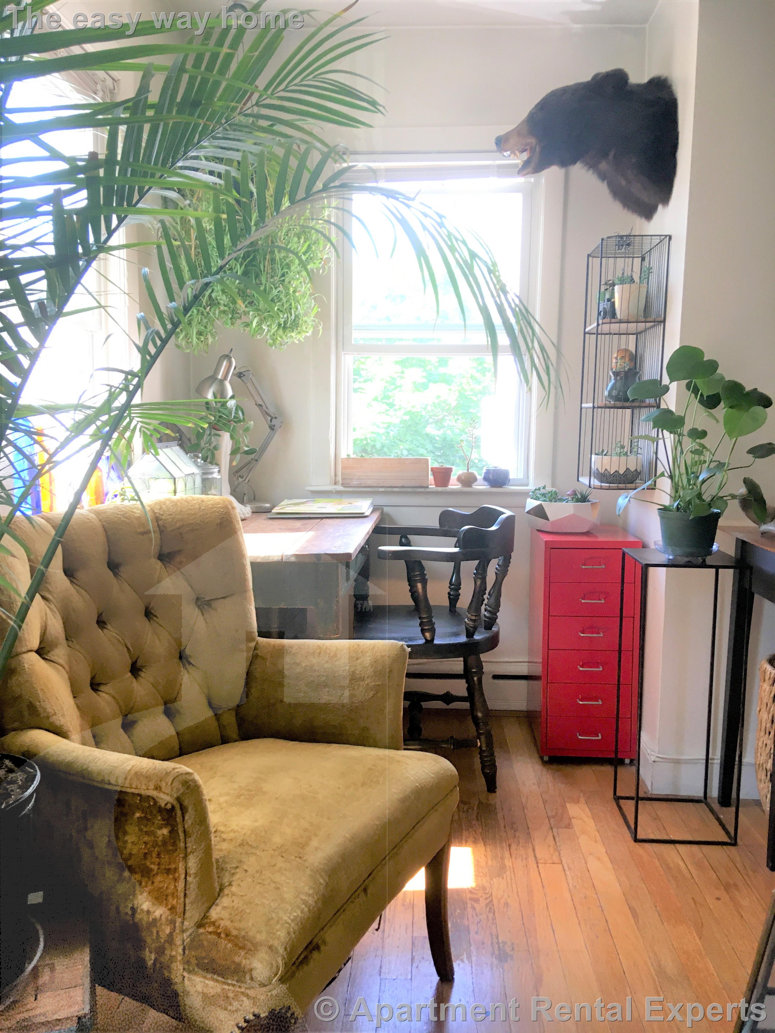 898 Massachusetts Ave, Central Square