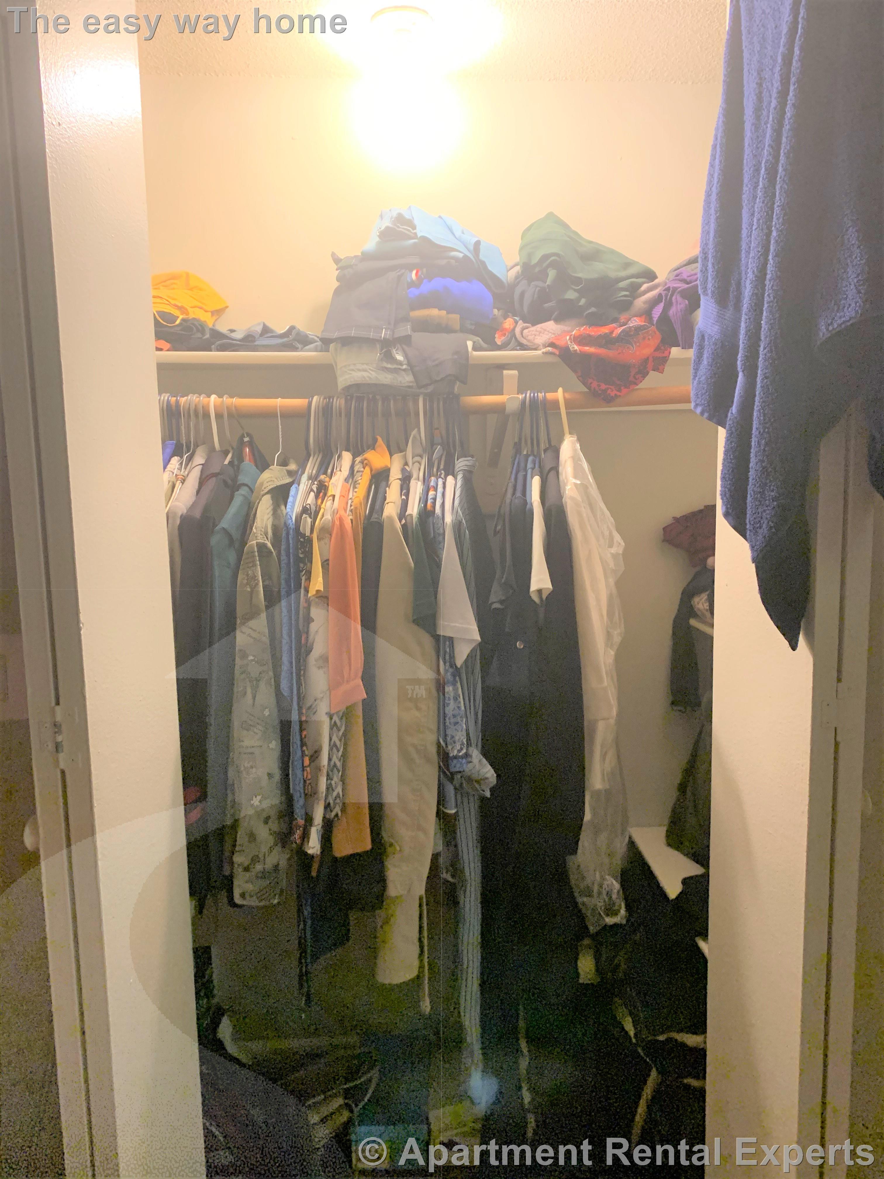 375 Harvard St, Harvard Square