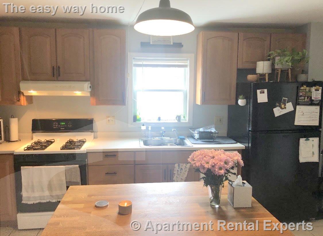 217 Cedar St, Ball Square