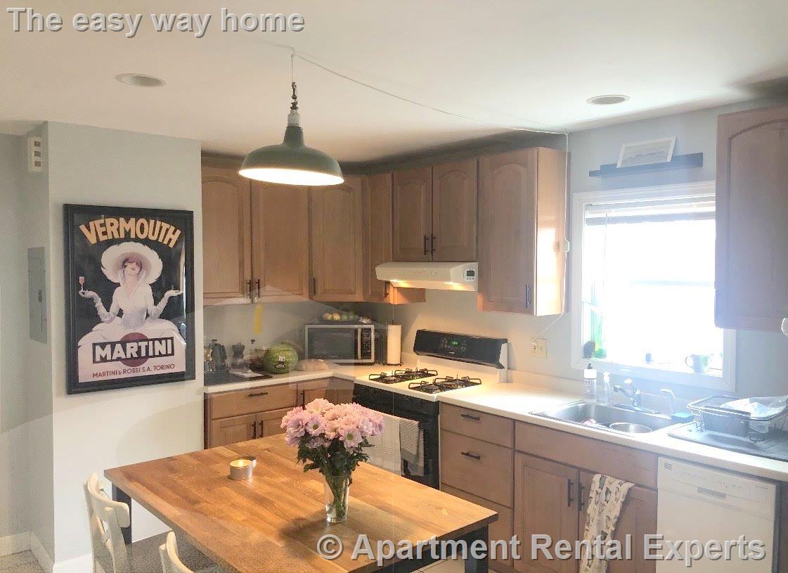 217 Cedar St, Ball Square