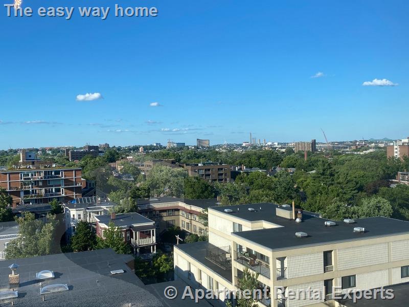 931 Massachusetts Ave, Cambridge