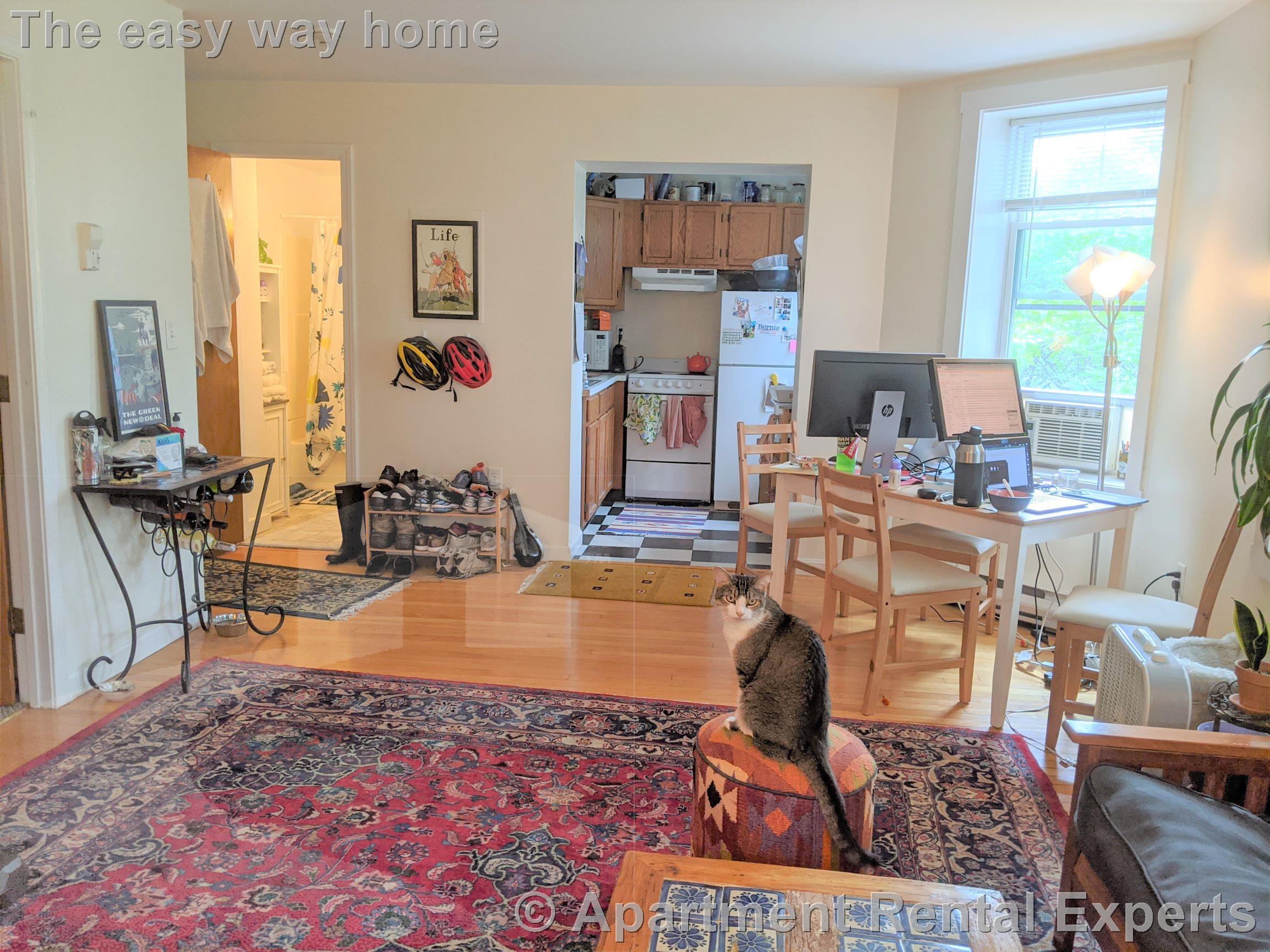 35 Davis Sq, Davis Square