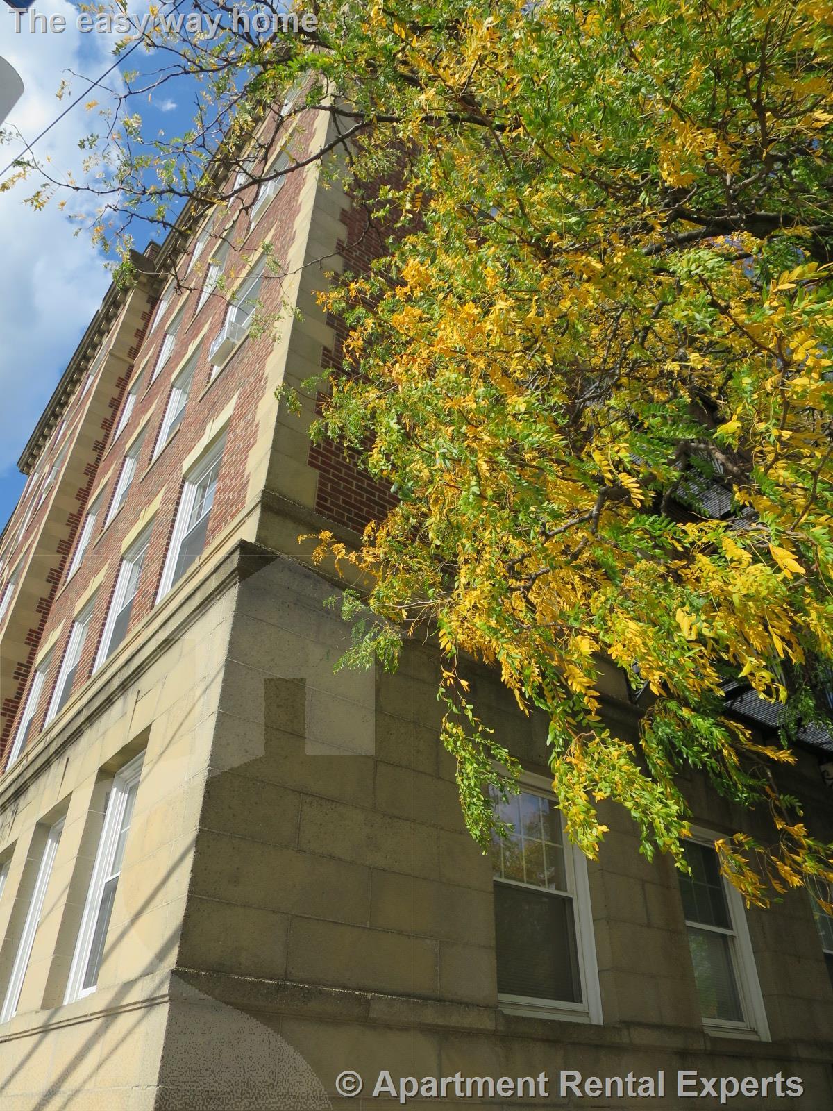 36 College Ave, Davis Square