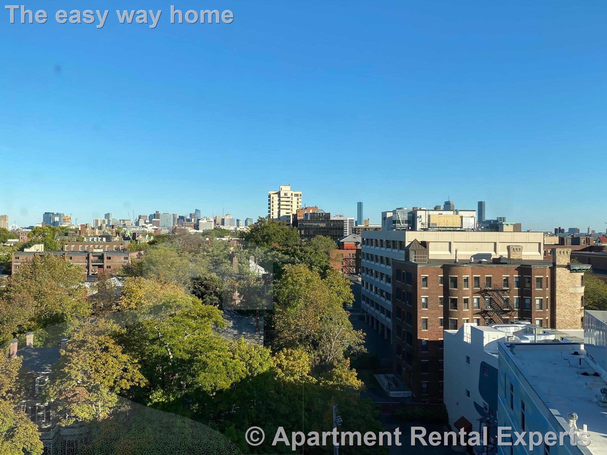 1105 Massachusetts Ave, Harvard Square