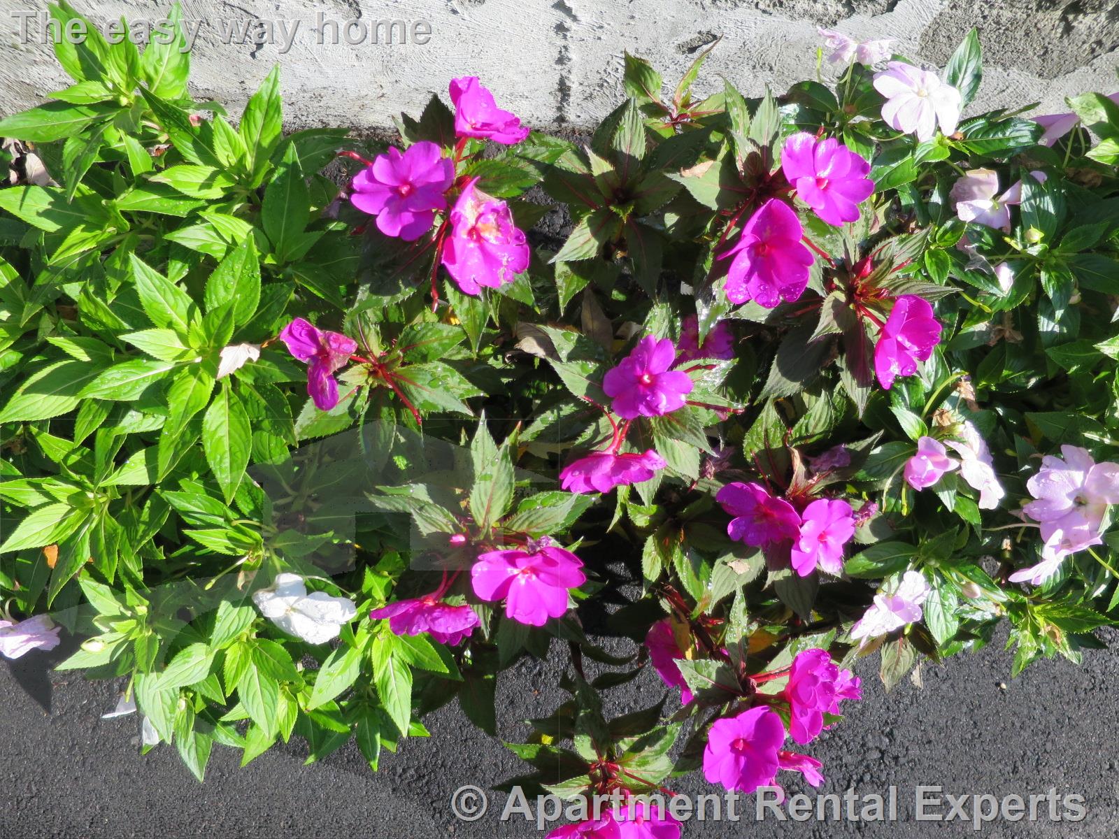 21 Franklin St, Sullivan Square