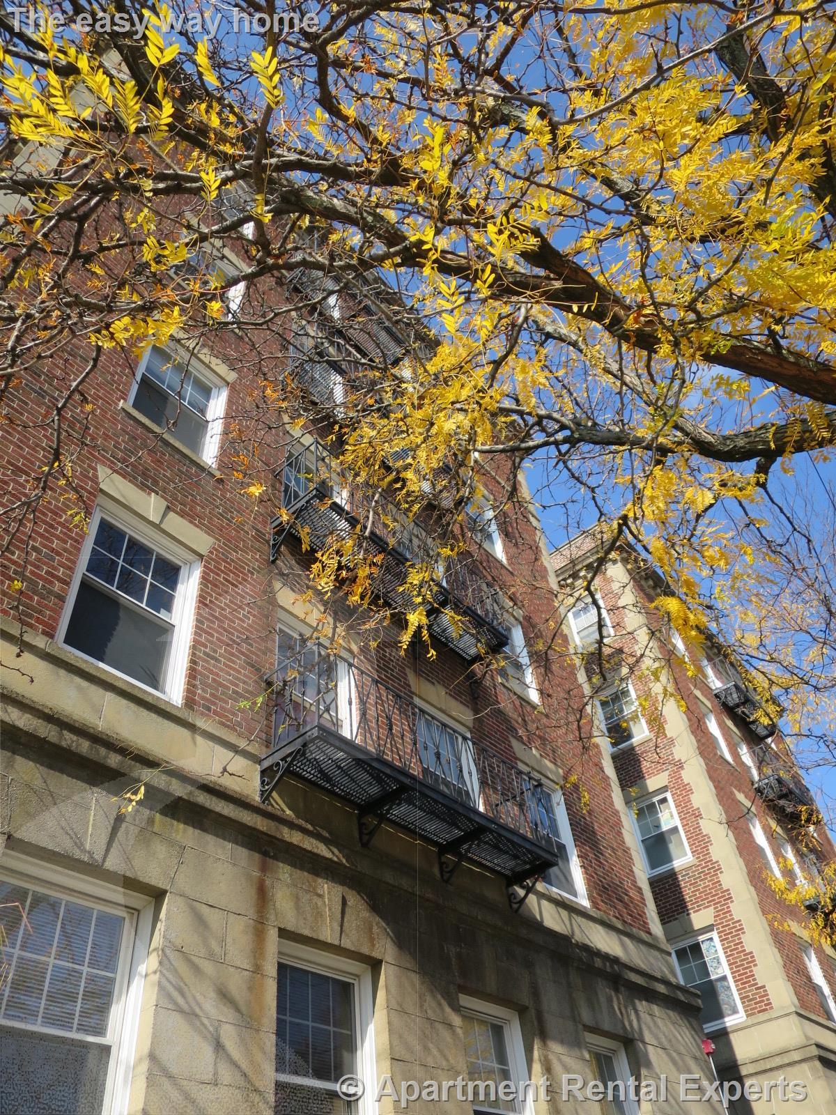 36 College Ave, Davis Square