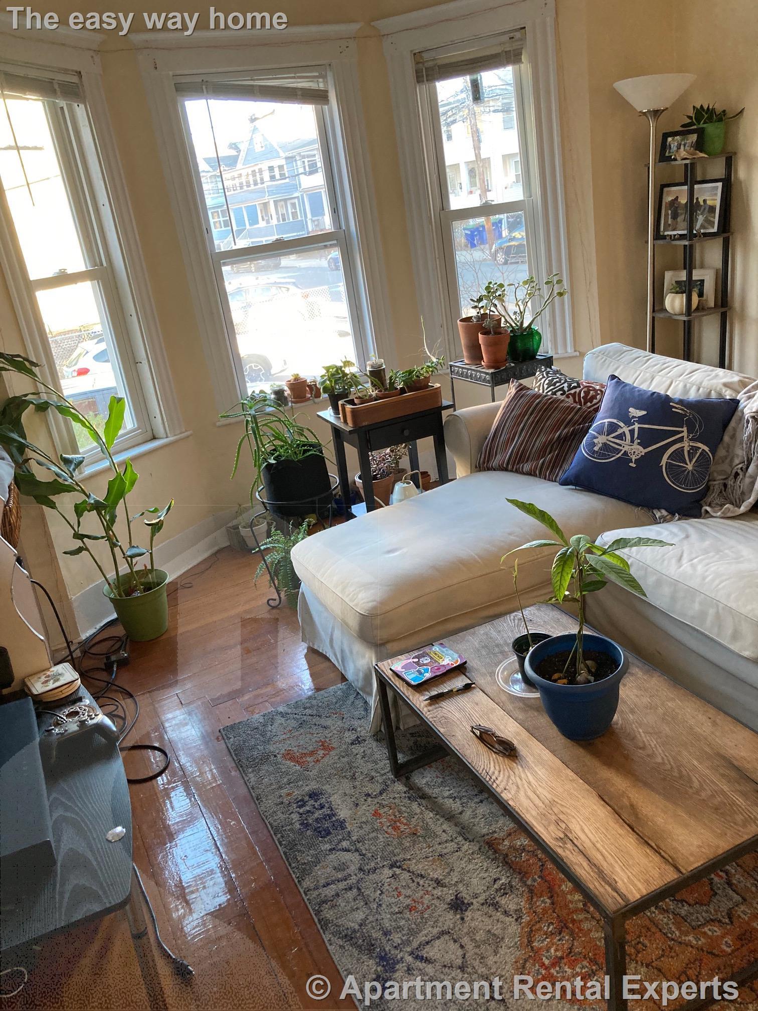 45 Morrison Ave, Davis Square