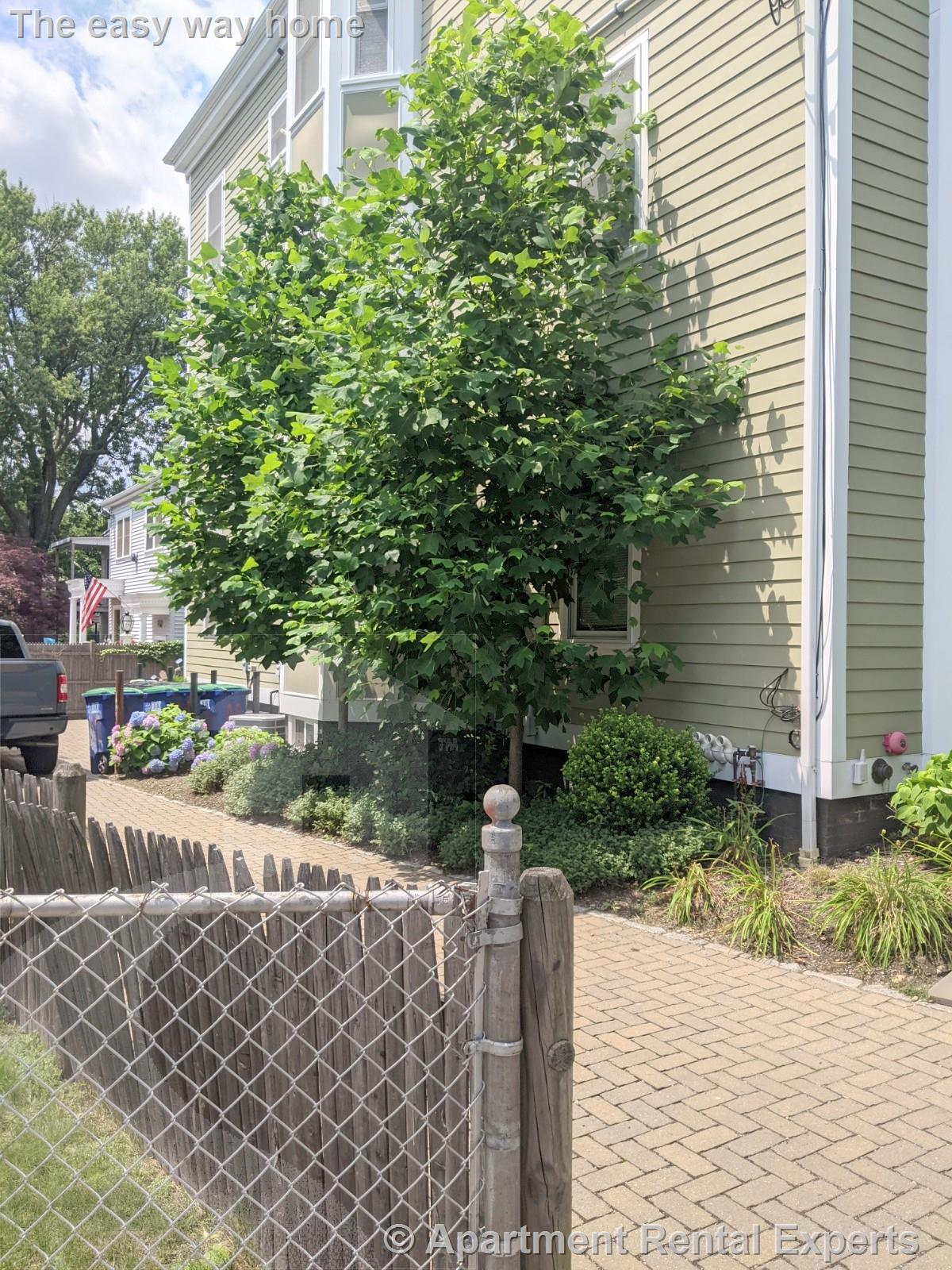 142 Holland St, Davis Square