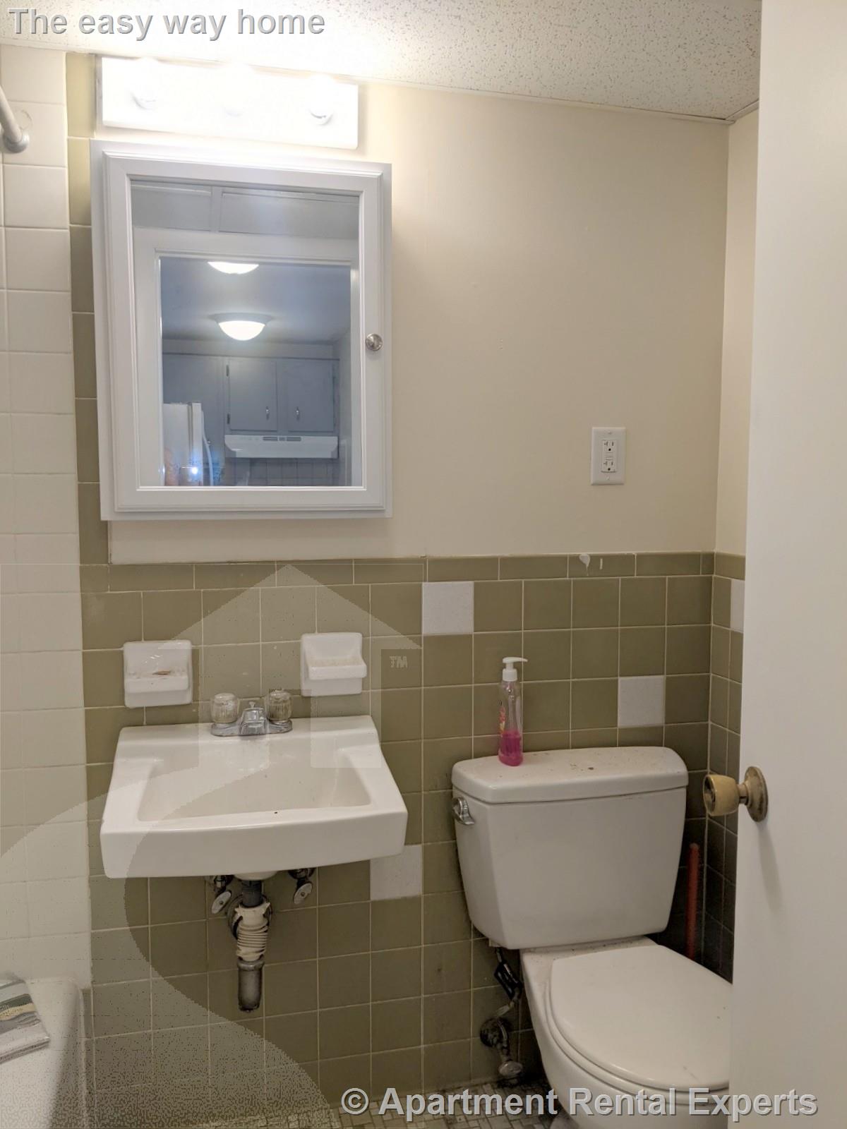 102 Alpine St, Magoun Square