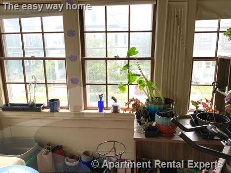 48 Cleveland St, East Arlington