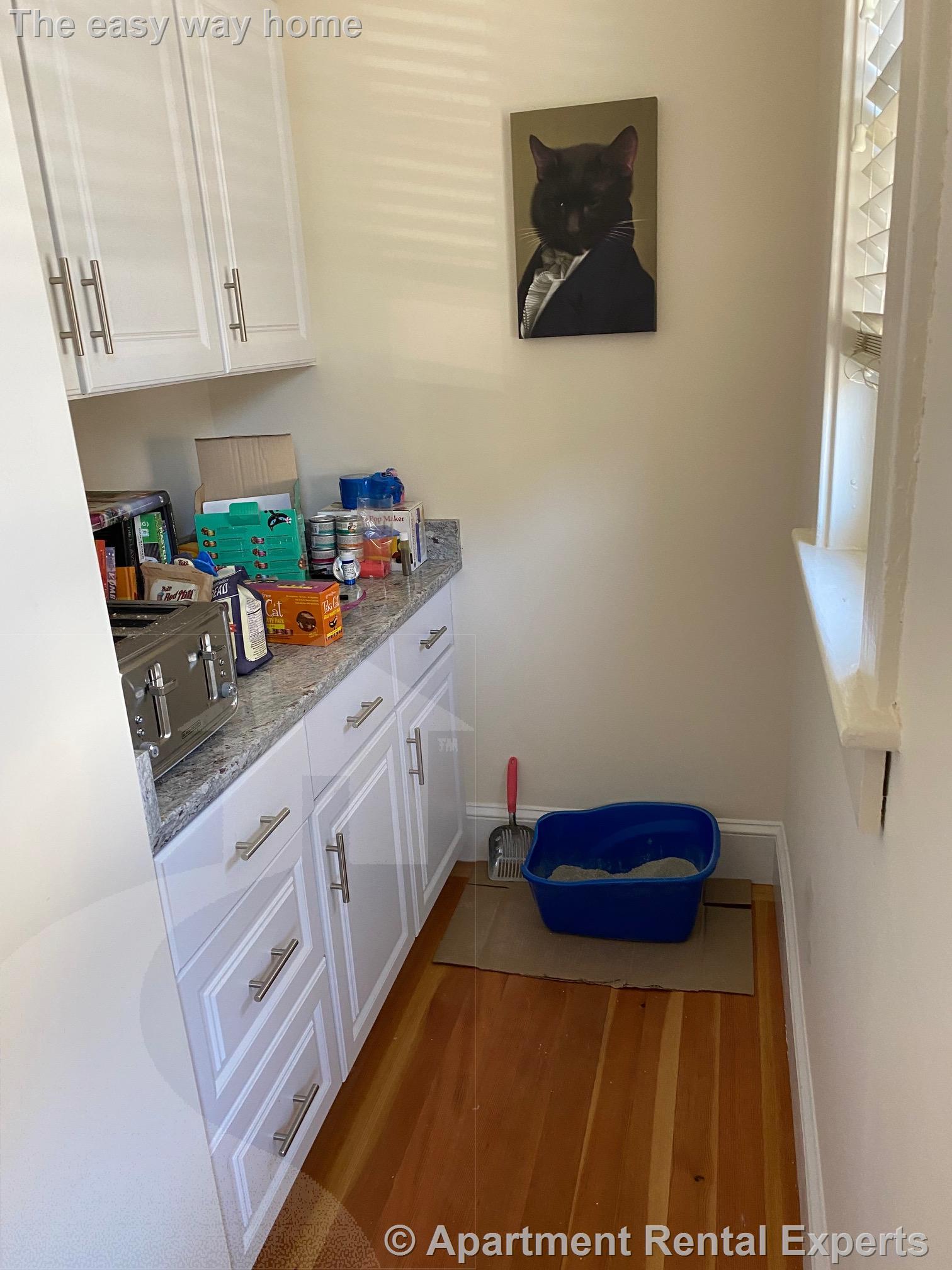 62 Ibbetson St, Spring Hill