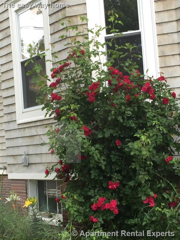 73 Highland Rd, Davis Square