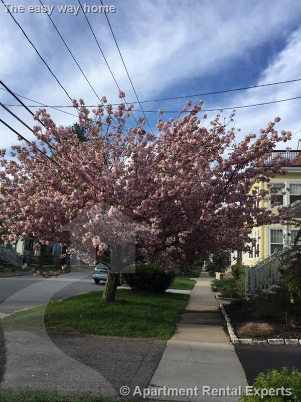 73 Highland Rd, Davis Square