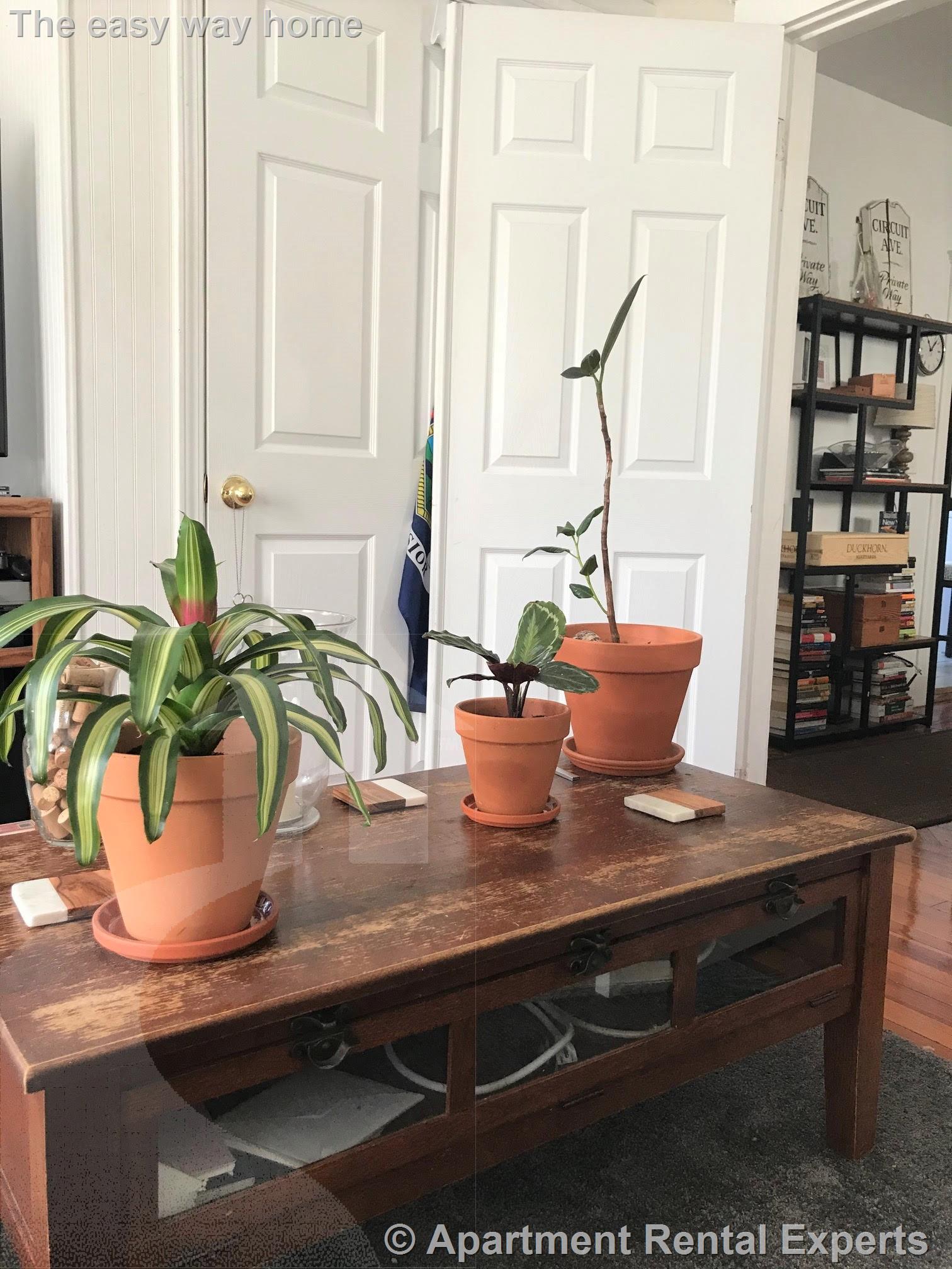 46 Partridge Ave, Magoun Square