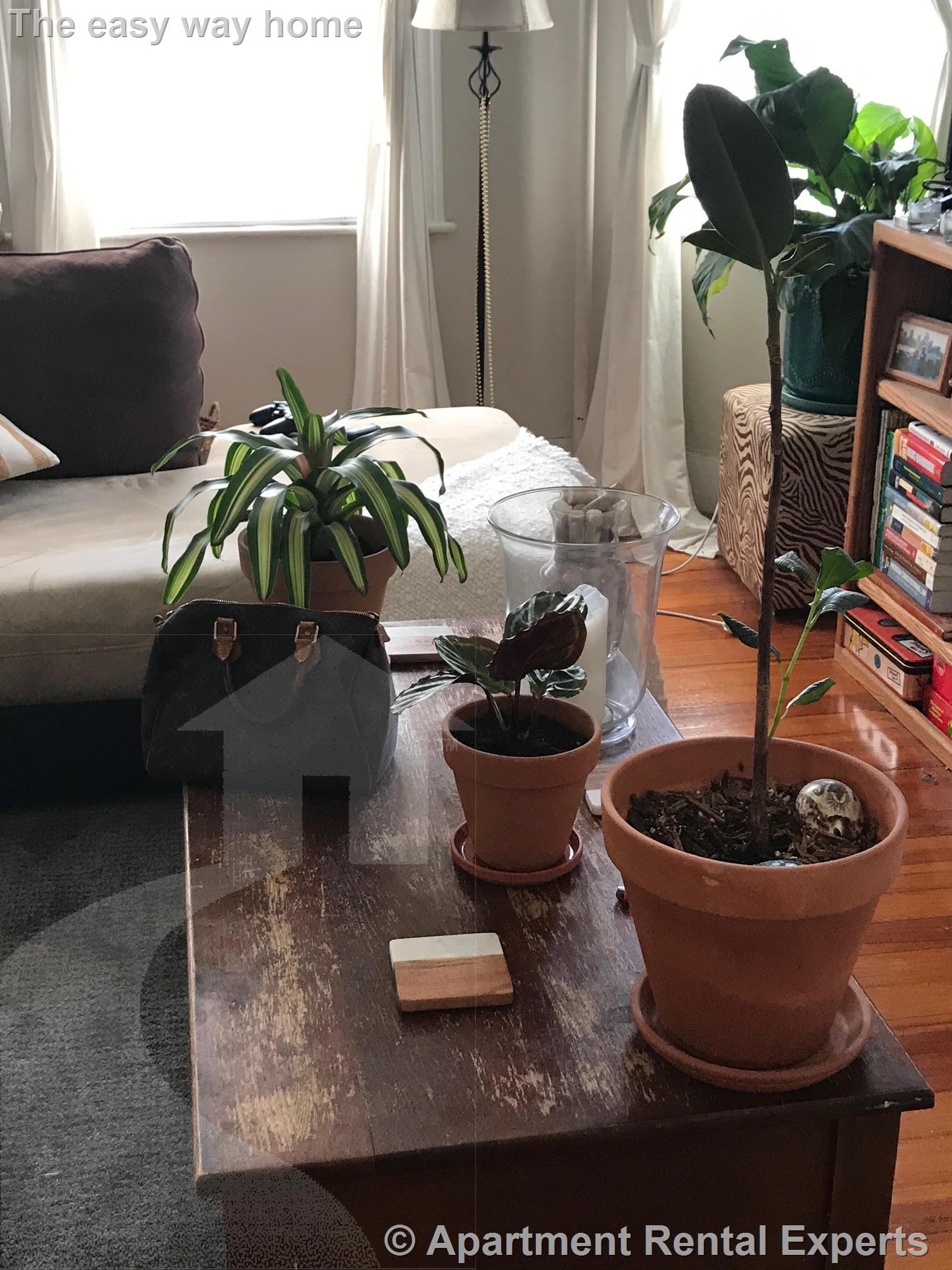 46 Partridge Ave, Magoun Square