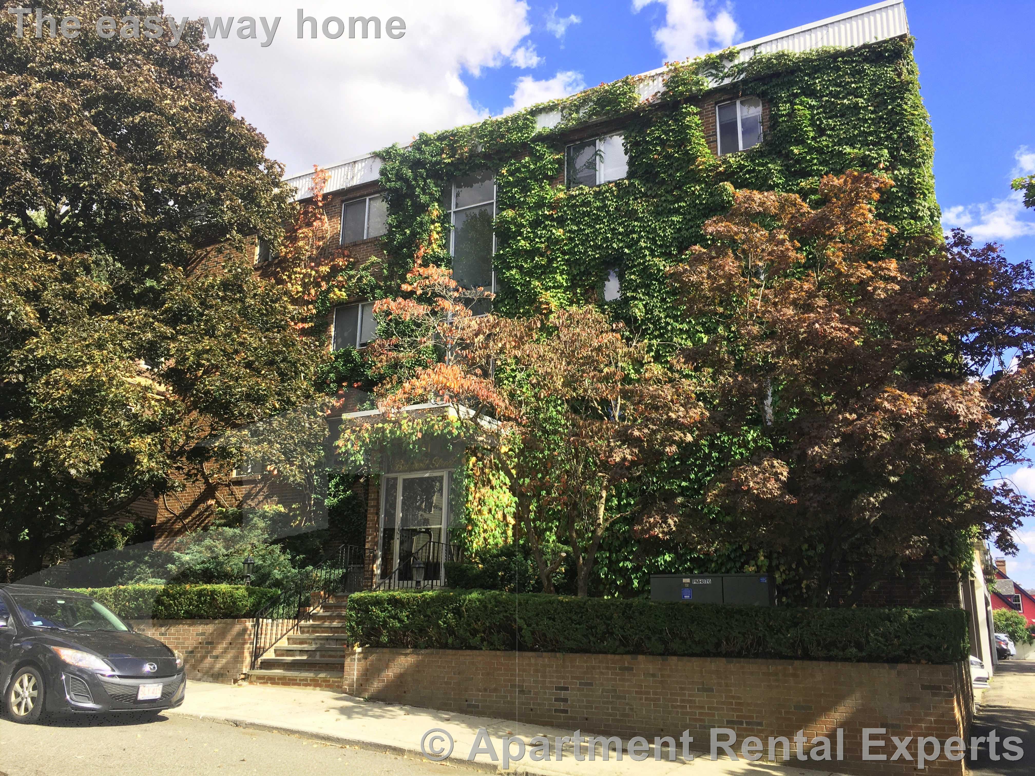 41 Belmont St, Porter Square