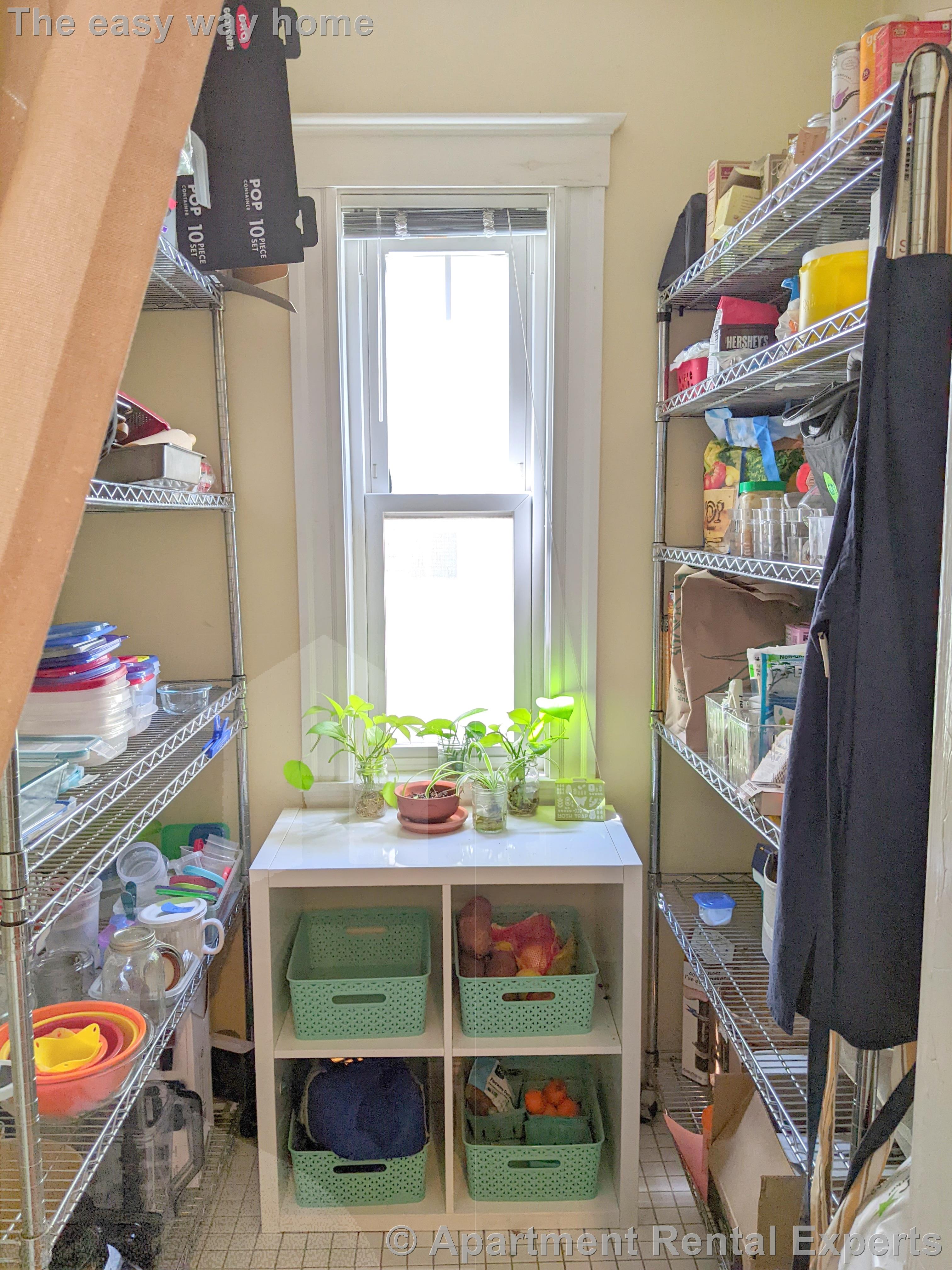 41 Bay State Ave, Davis Square