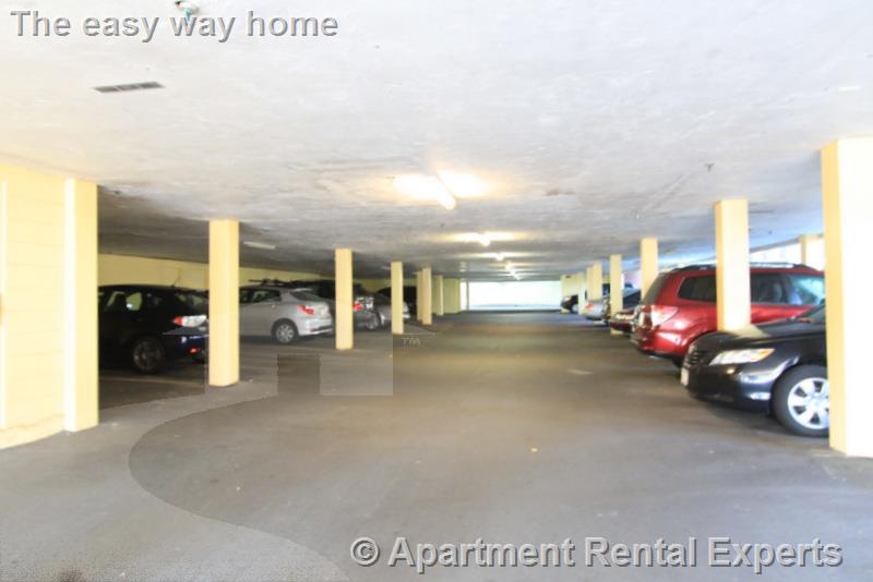 23 Elm St, Porter Square