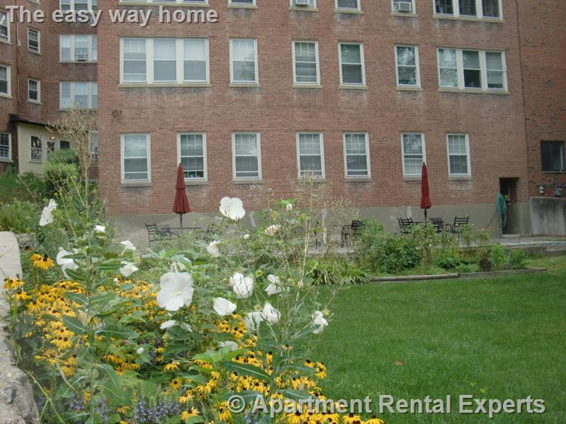 56 Concord Ave, Harvard Square