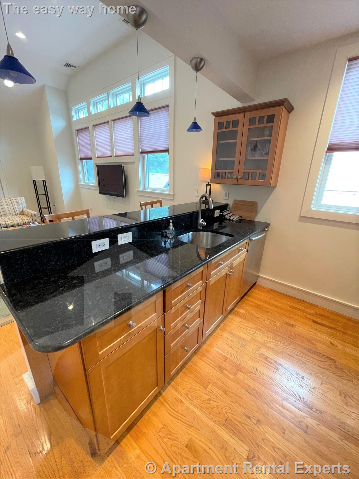 20 Cottage Ave, Davis Square