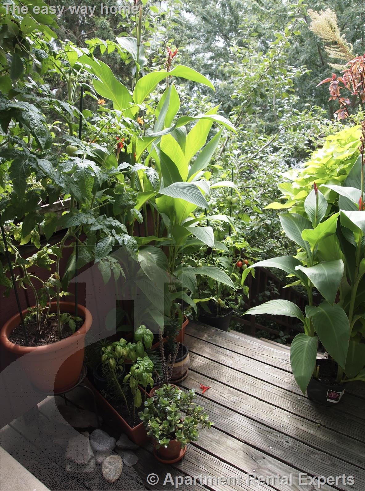 500 Green St, Central Square