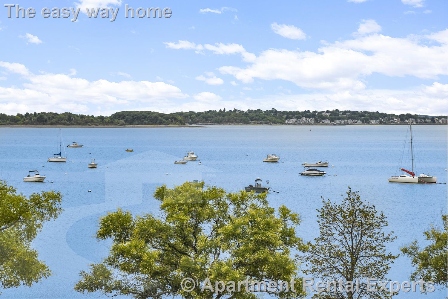 1776 Columbia Rd, South Boston