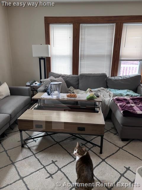 8 Cady Ave, Davis Square