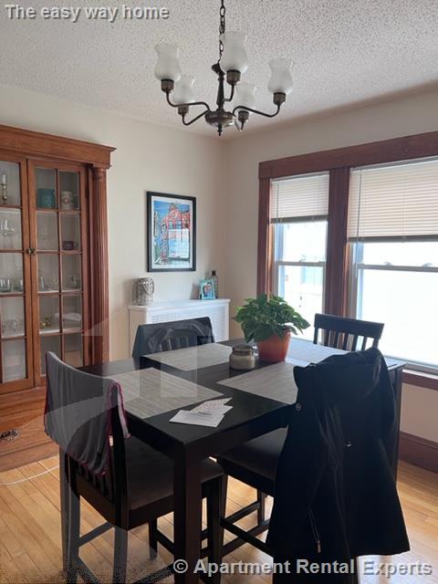 8 Cady Ave, Davis Square