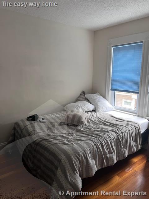 8 Cady Ave, Davis Square