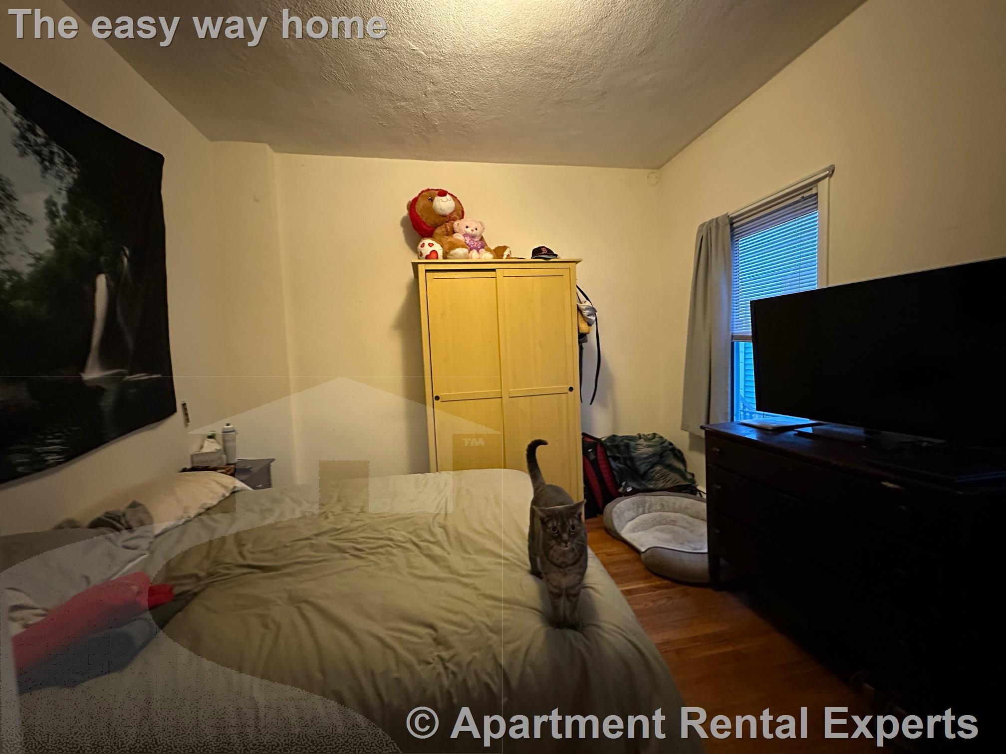 13 Concord Ave, Inman Square