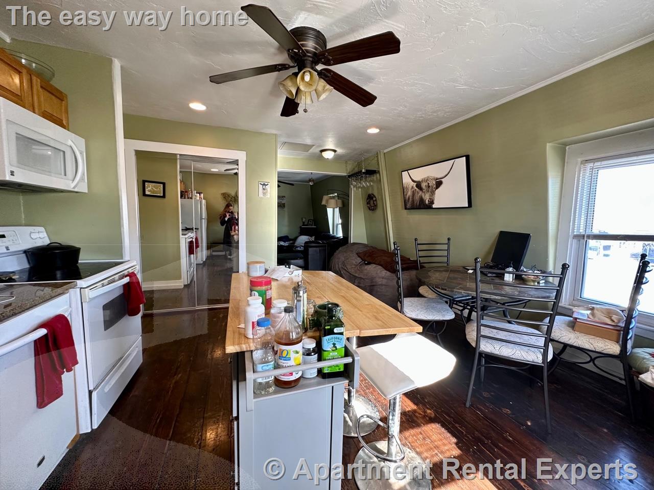 145 Highland Ave, Spring Hill