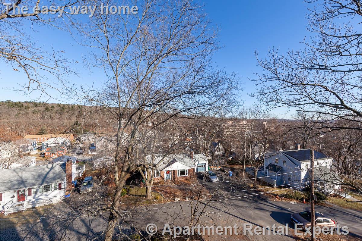 48 Caldwell Rd, Waltham