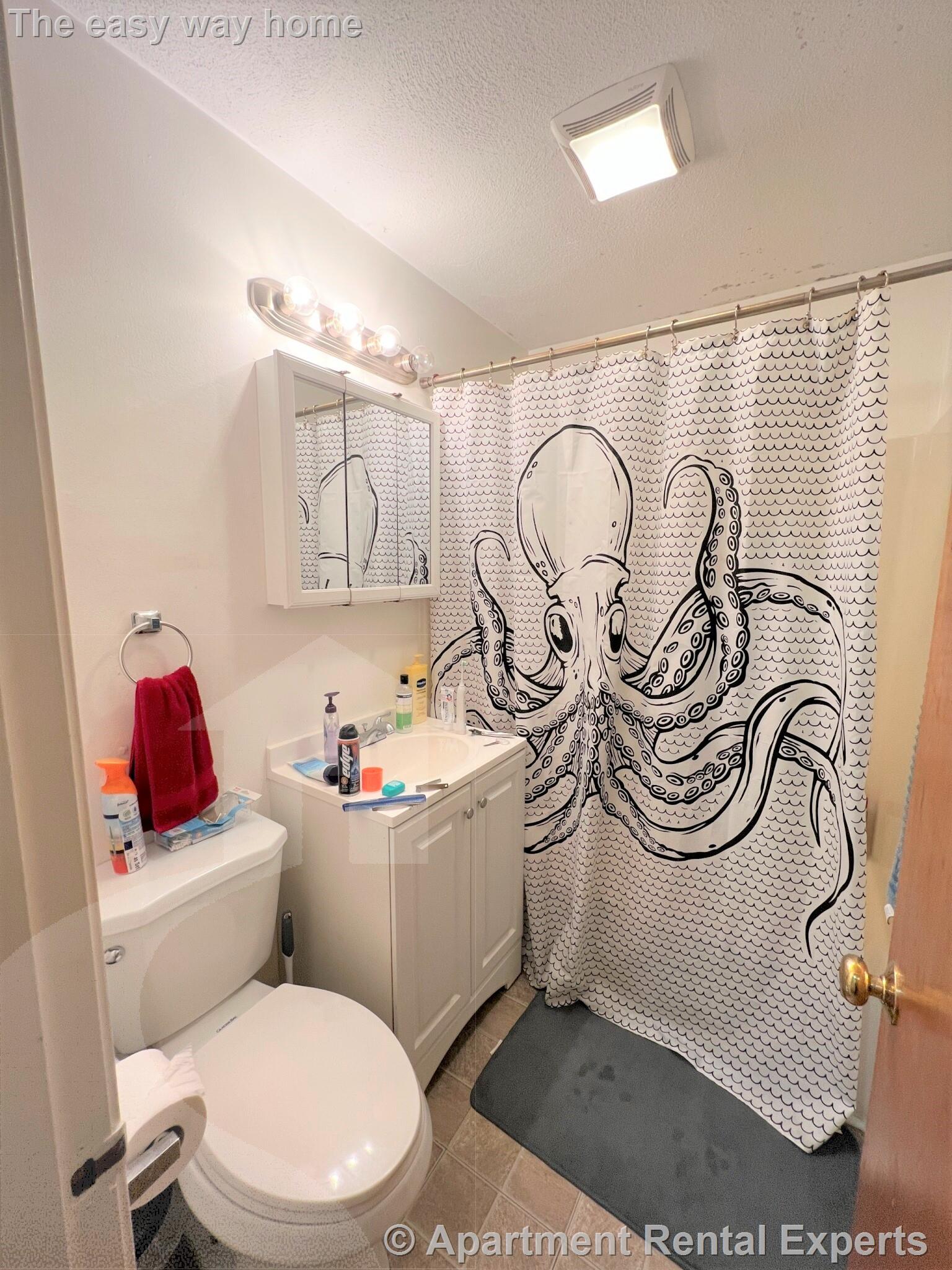 217 Holland St, Davis Square