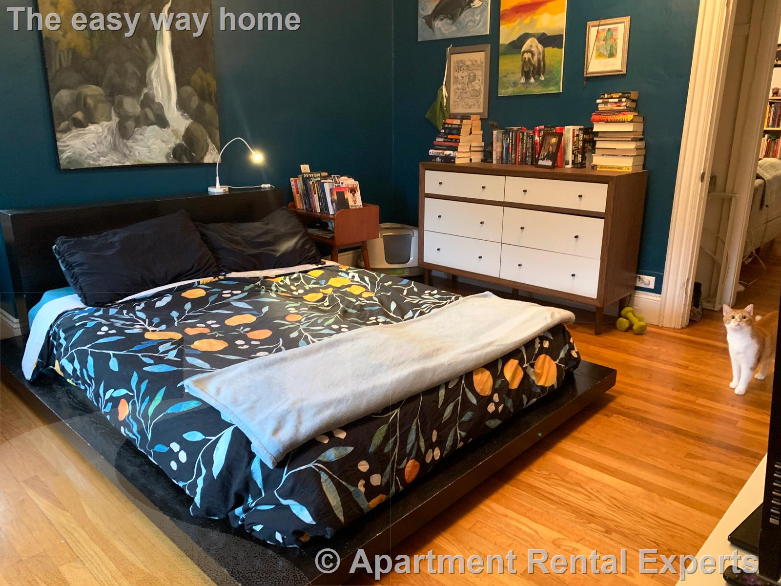 363 Beacon St, Porter Square