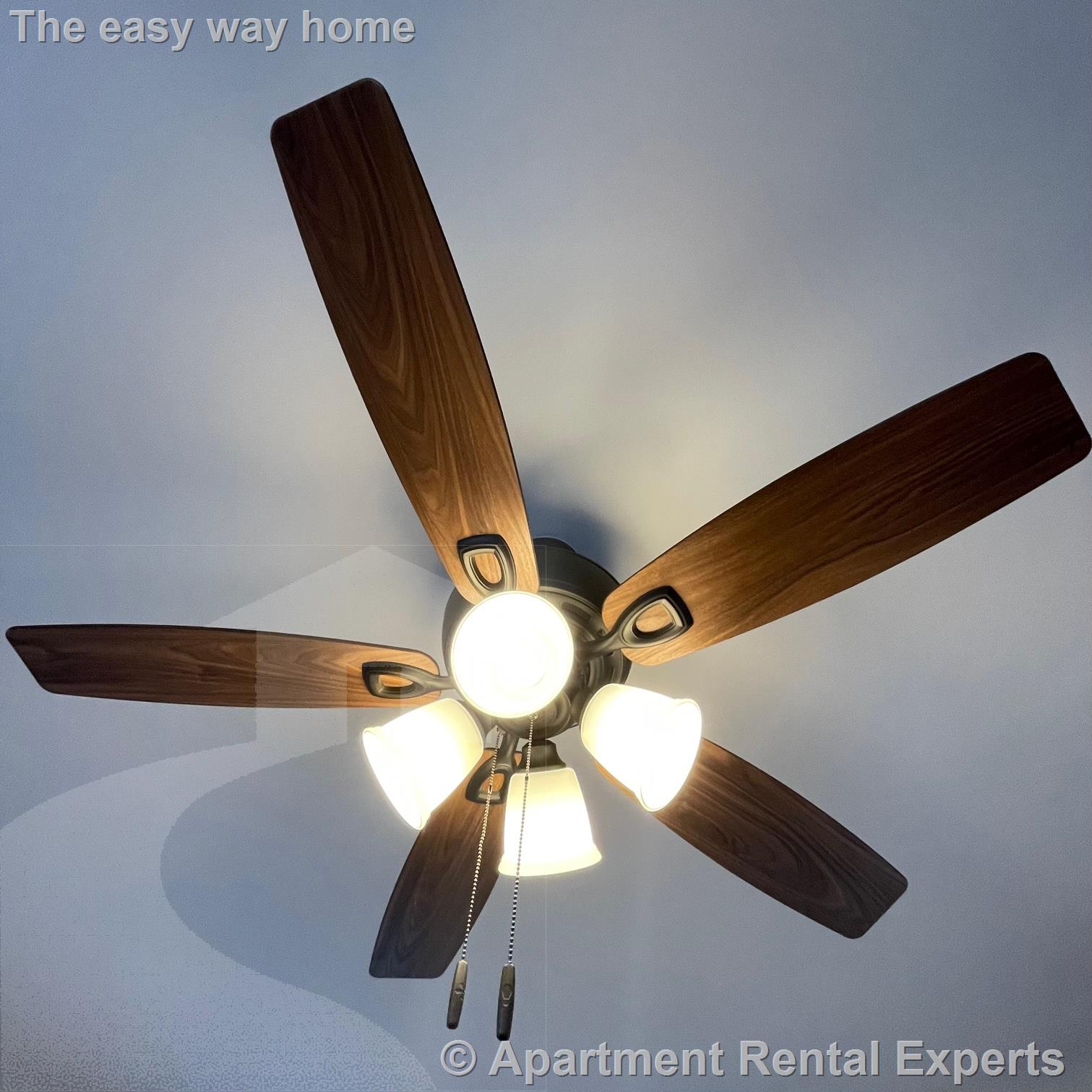 14 Chestnut St, Malden Center