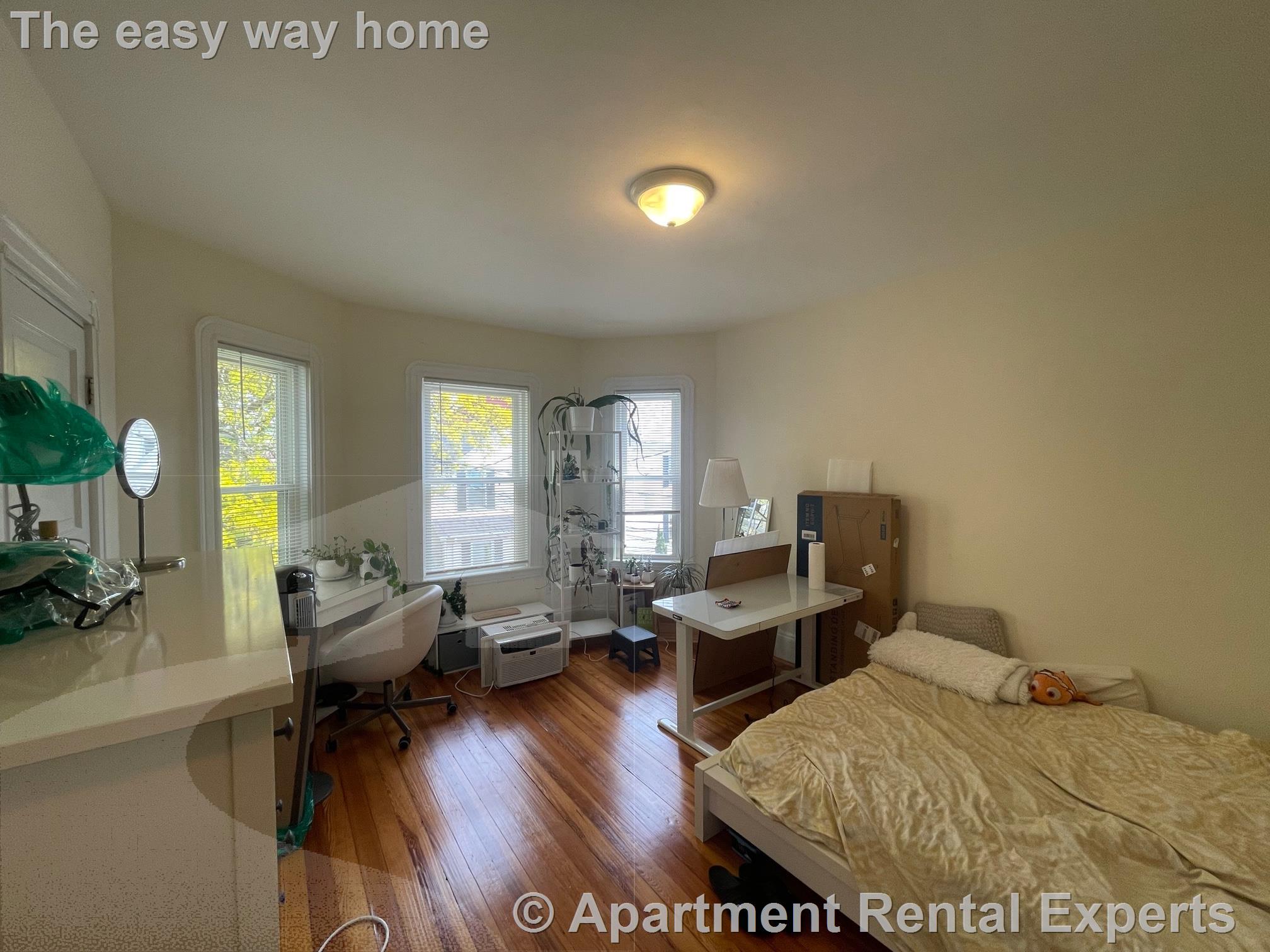 10 Chandler St, Davis Square