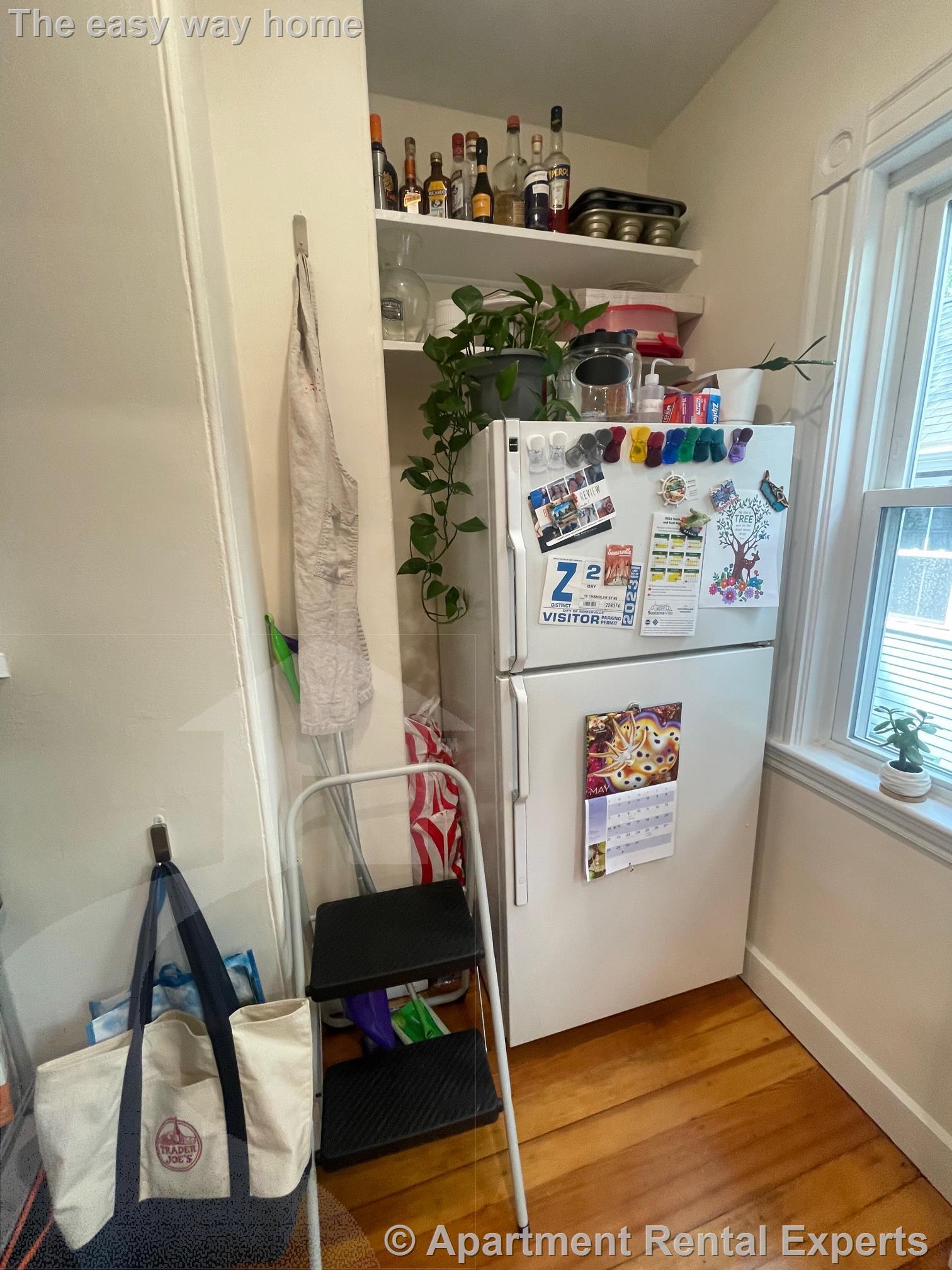 10 Chandler St, Davis Square