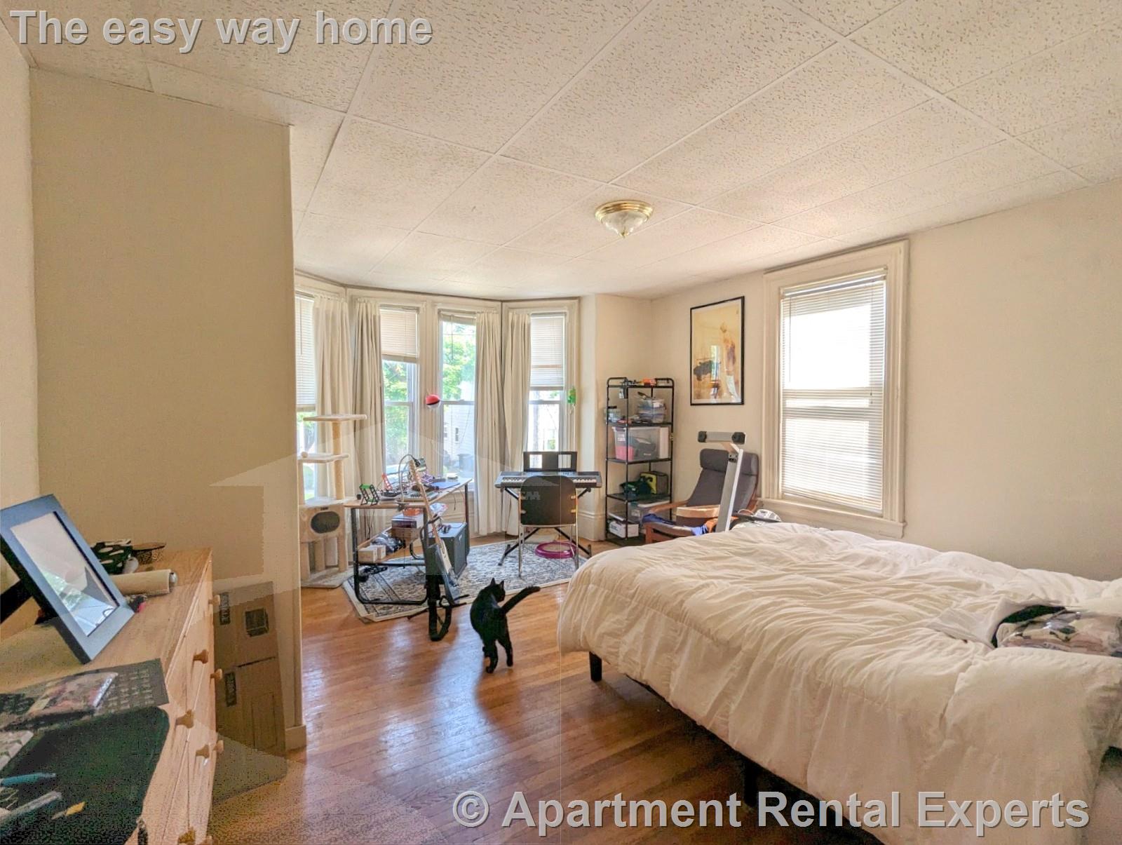 19 Cameron Ave, Davis Square