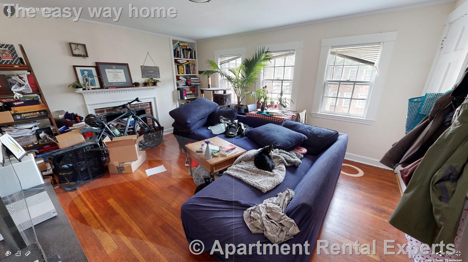 38 Gibson St, Harvard Square