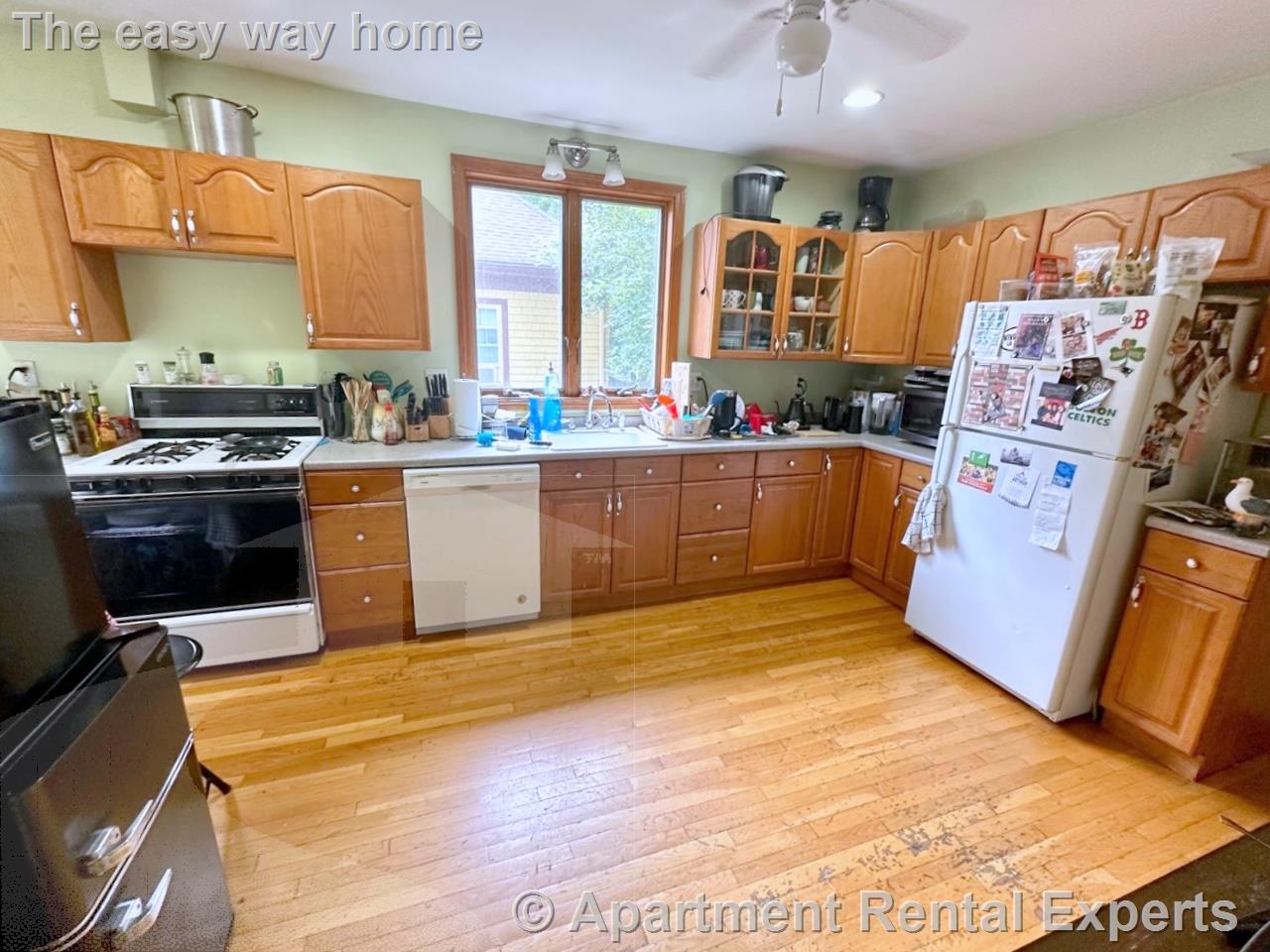 56 Dwyer Circle, Tufts