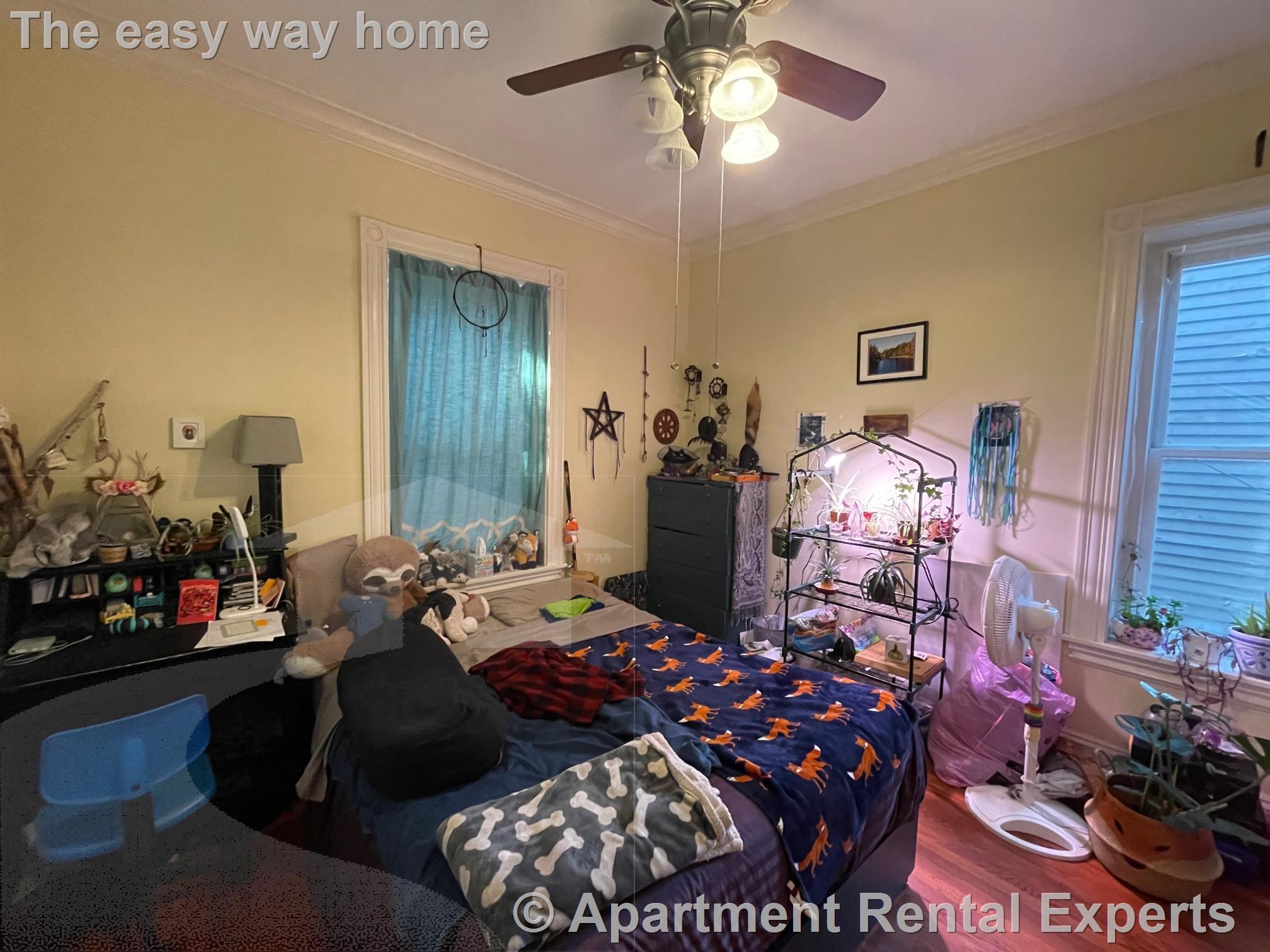 5 Prospect Hill Ave, Prospect Hill