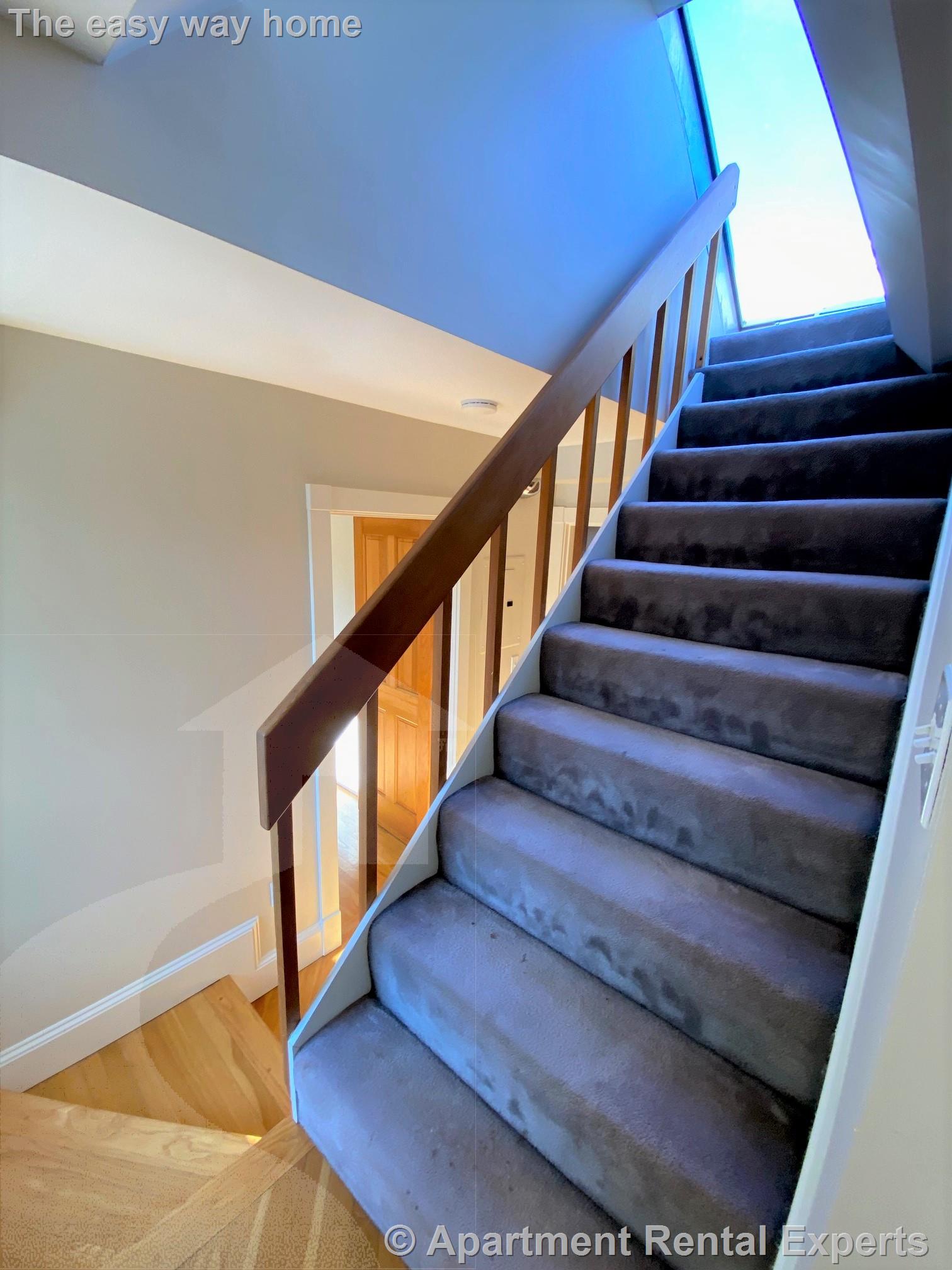 259 Mt Auburn, Harvard Square