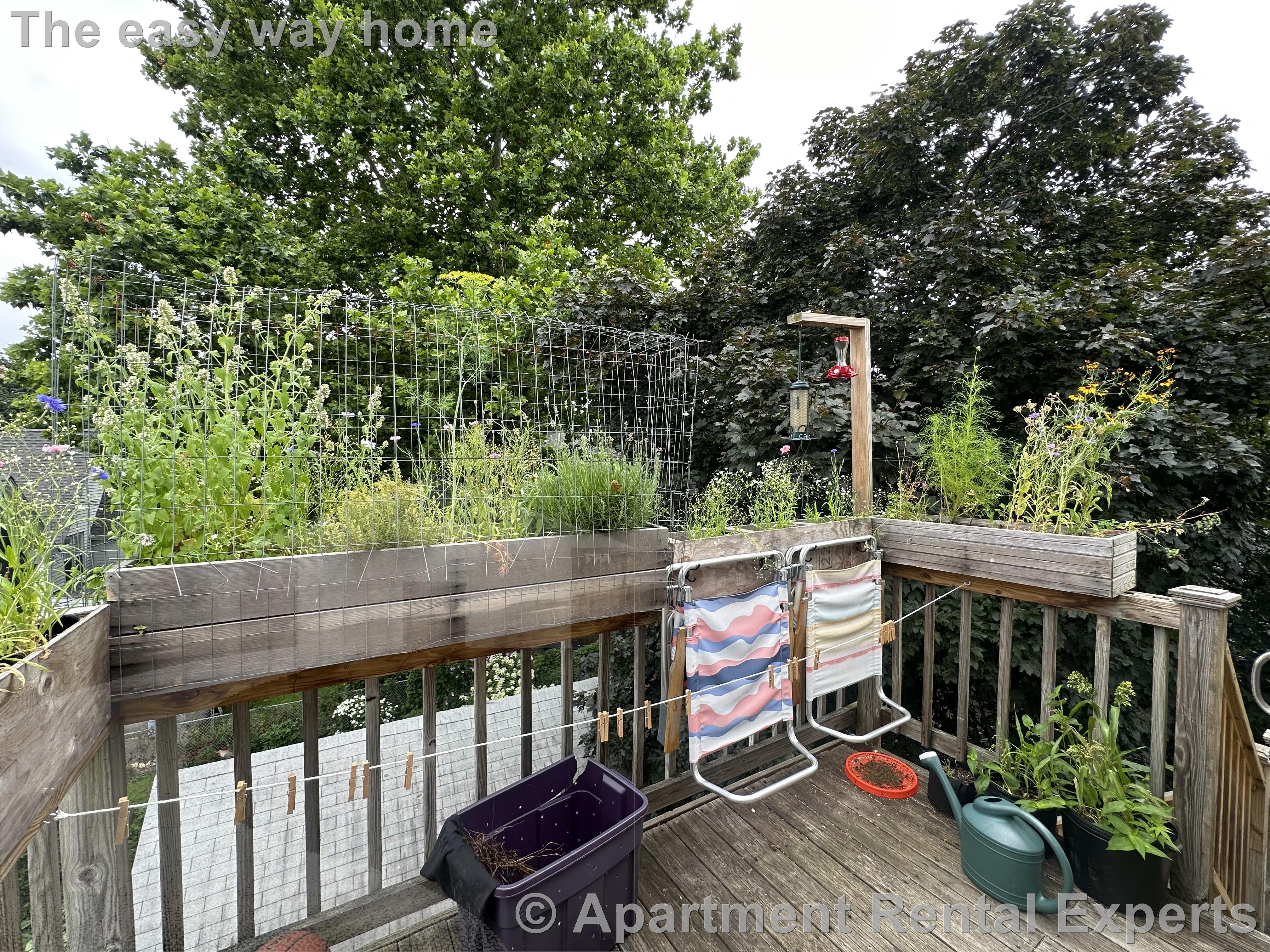 74 Prentiss St, Cambridge Line