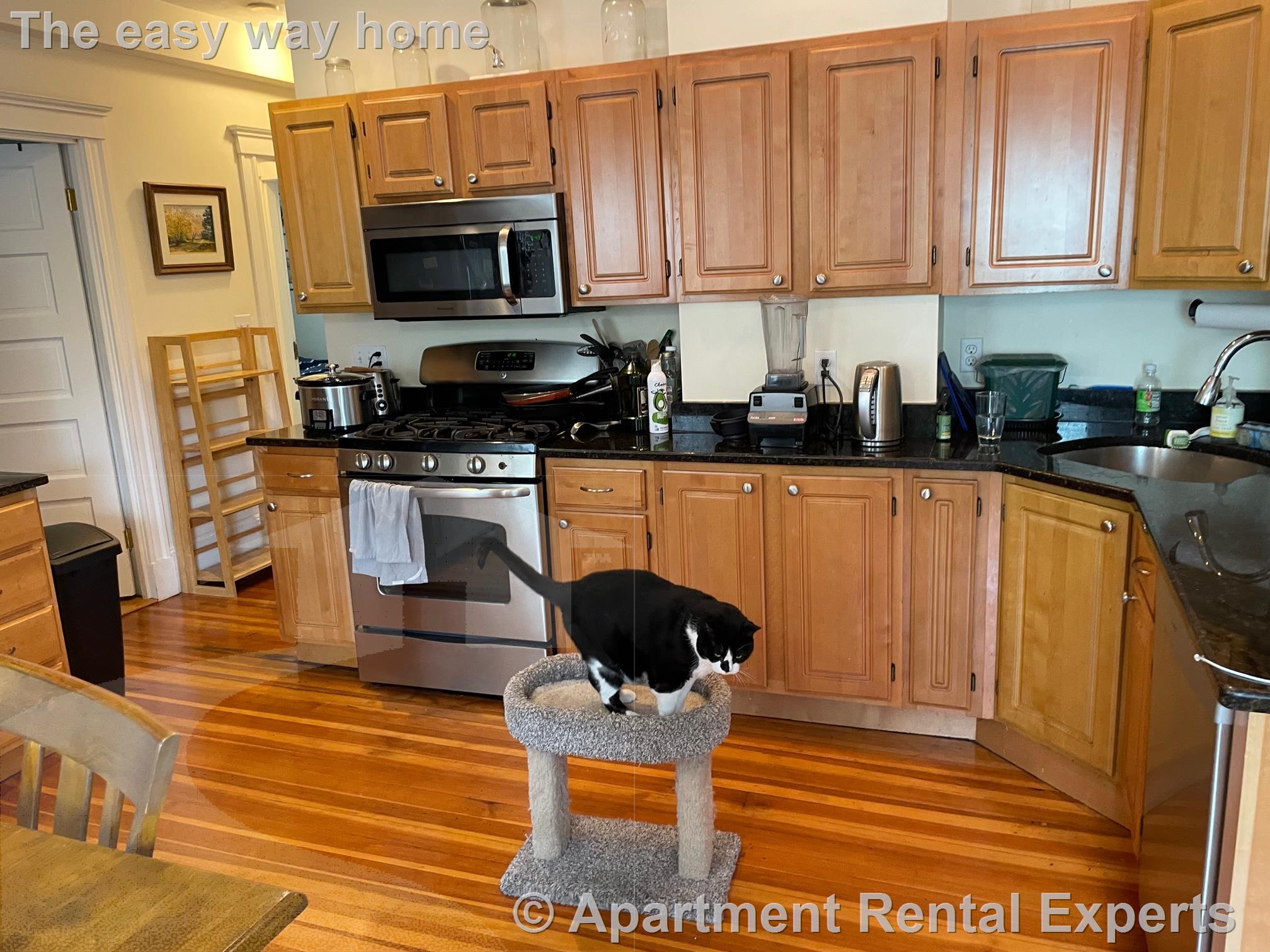 183 Rindge Ave, North Cambridge