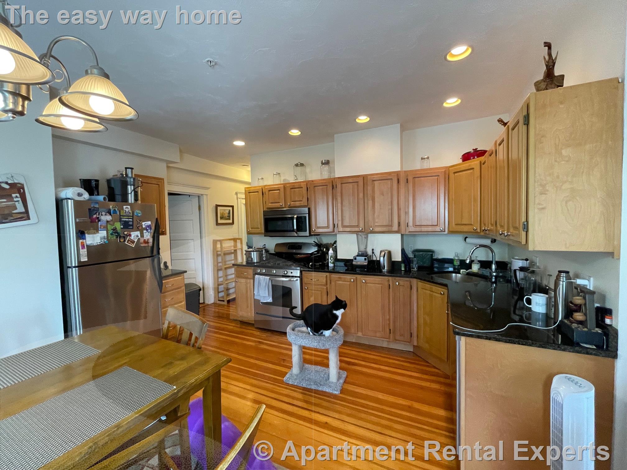 183 Rindge Ave, North Cambridge