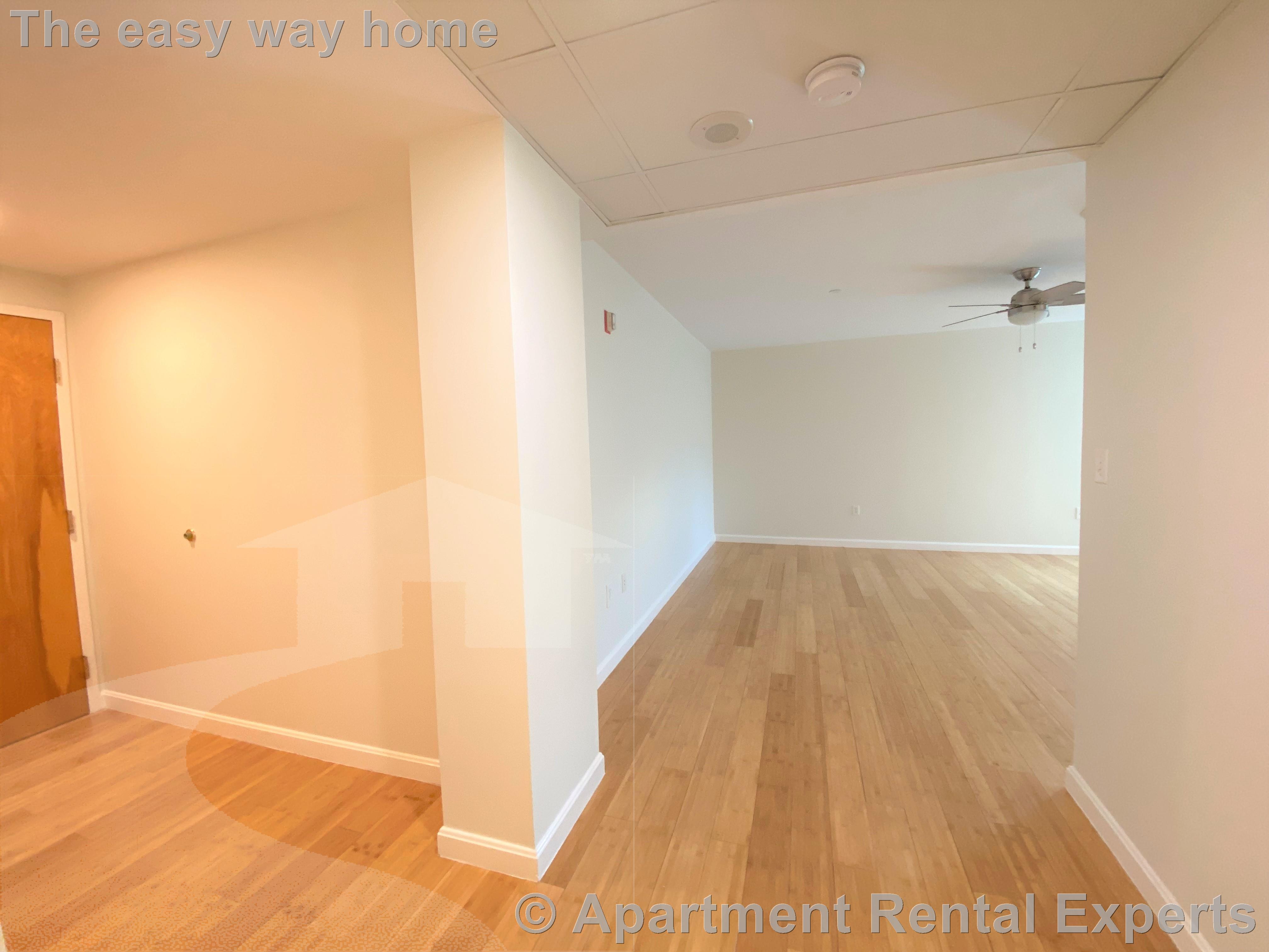 1008 Massachusetts Ave, Harvard Square